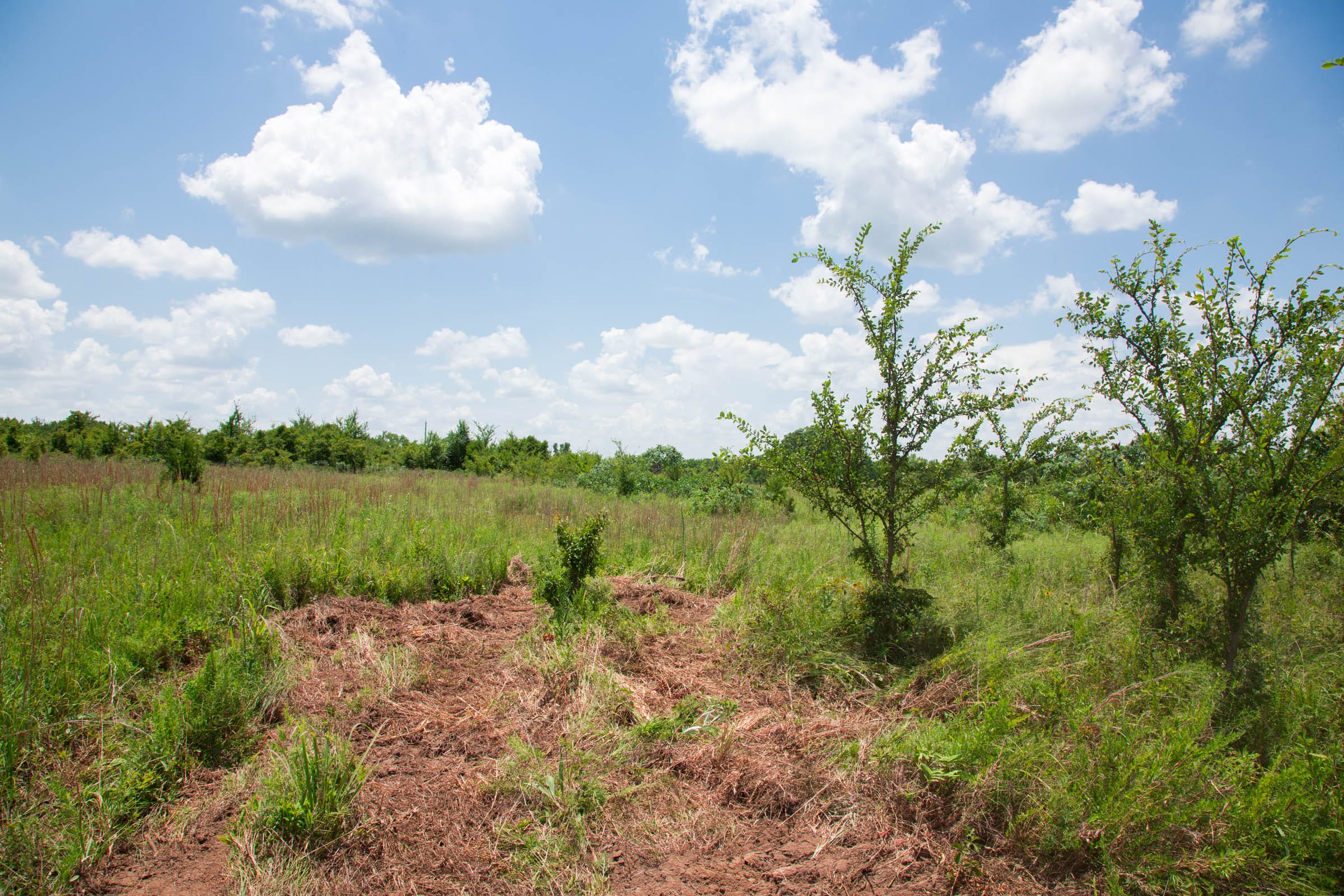 Deep Fork Ranch Tract 9 photo 10