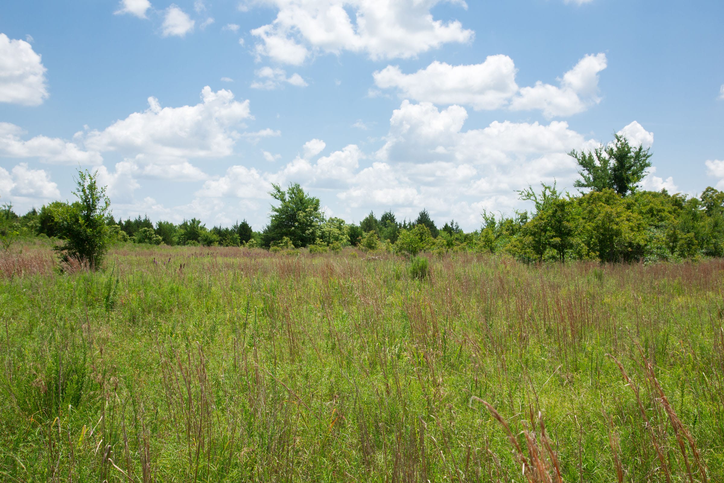 Deep Fork Ranch Tract 9 photo 11
