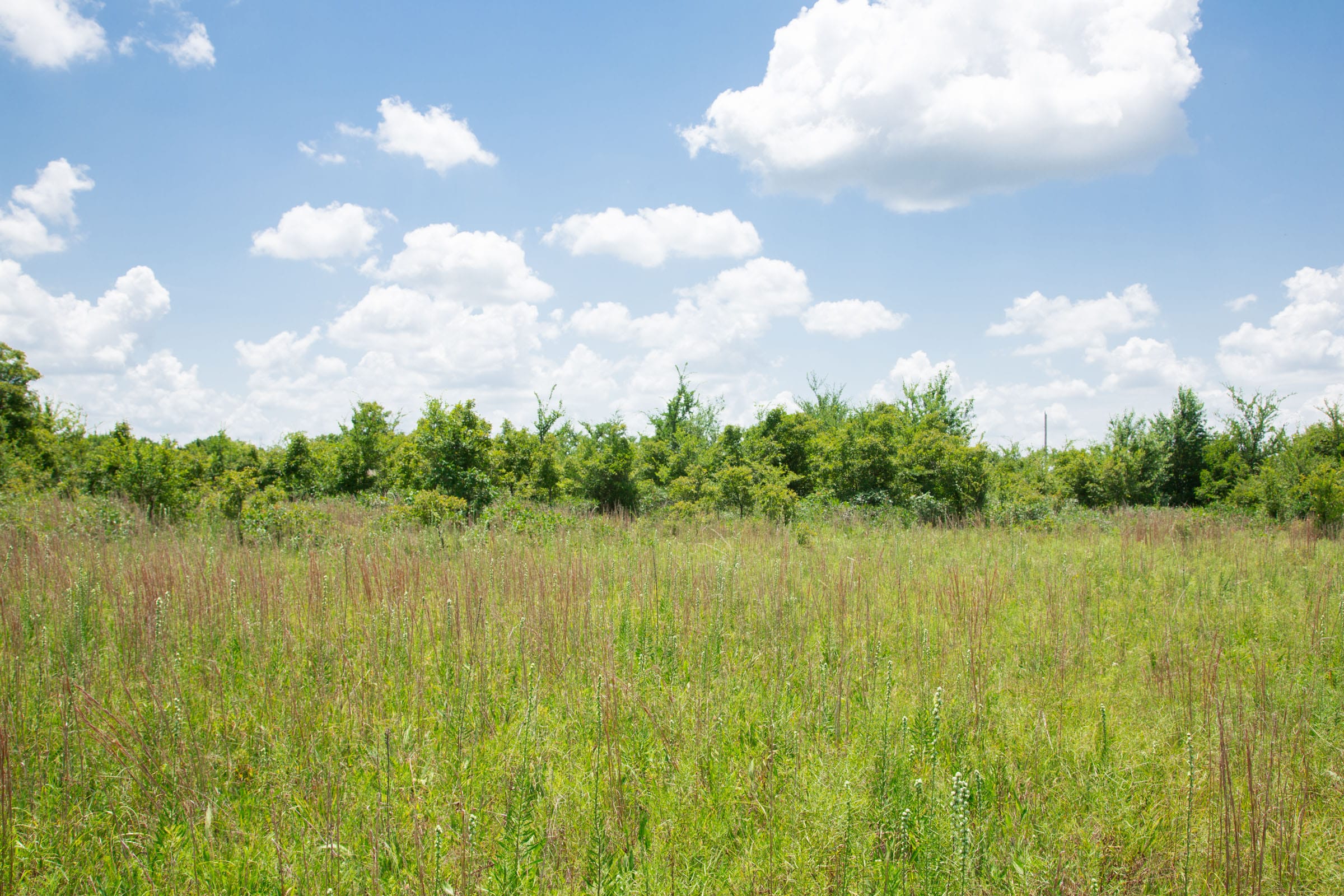 Deep Fork Ranch Tract 9 photo 12
