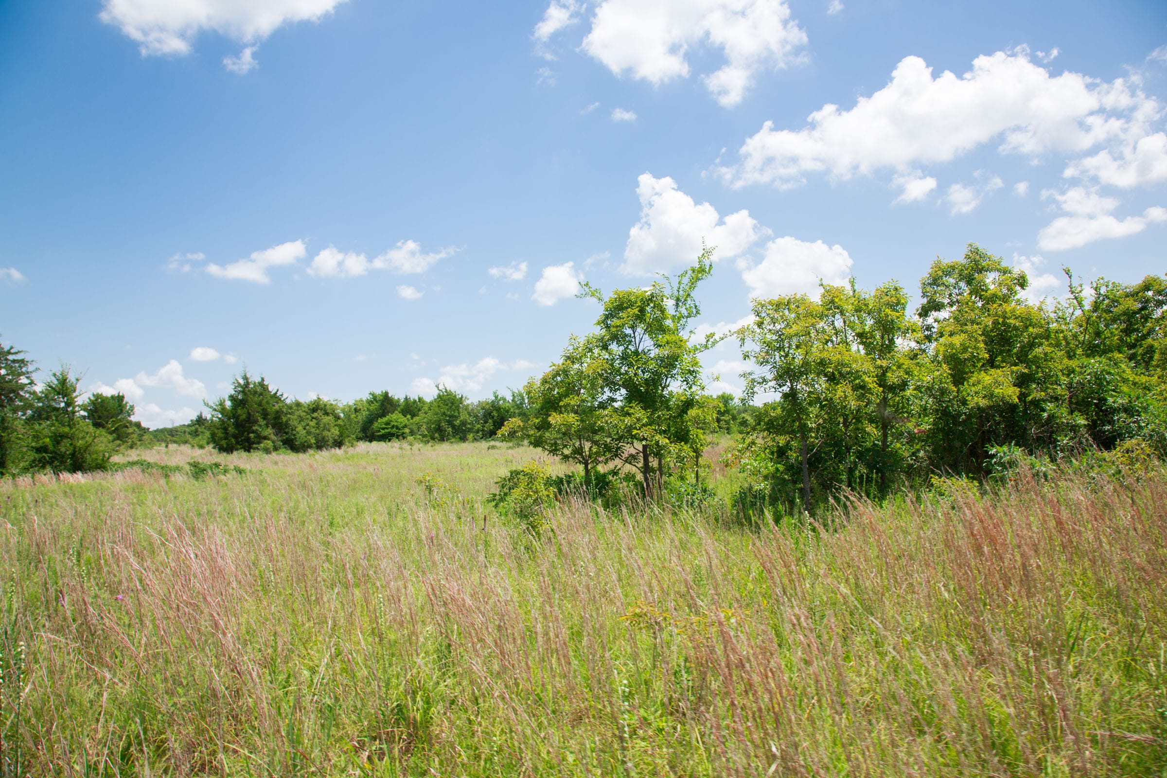 Deep Fork Ranch Tract 9 photo 13