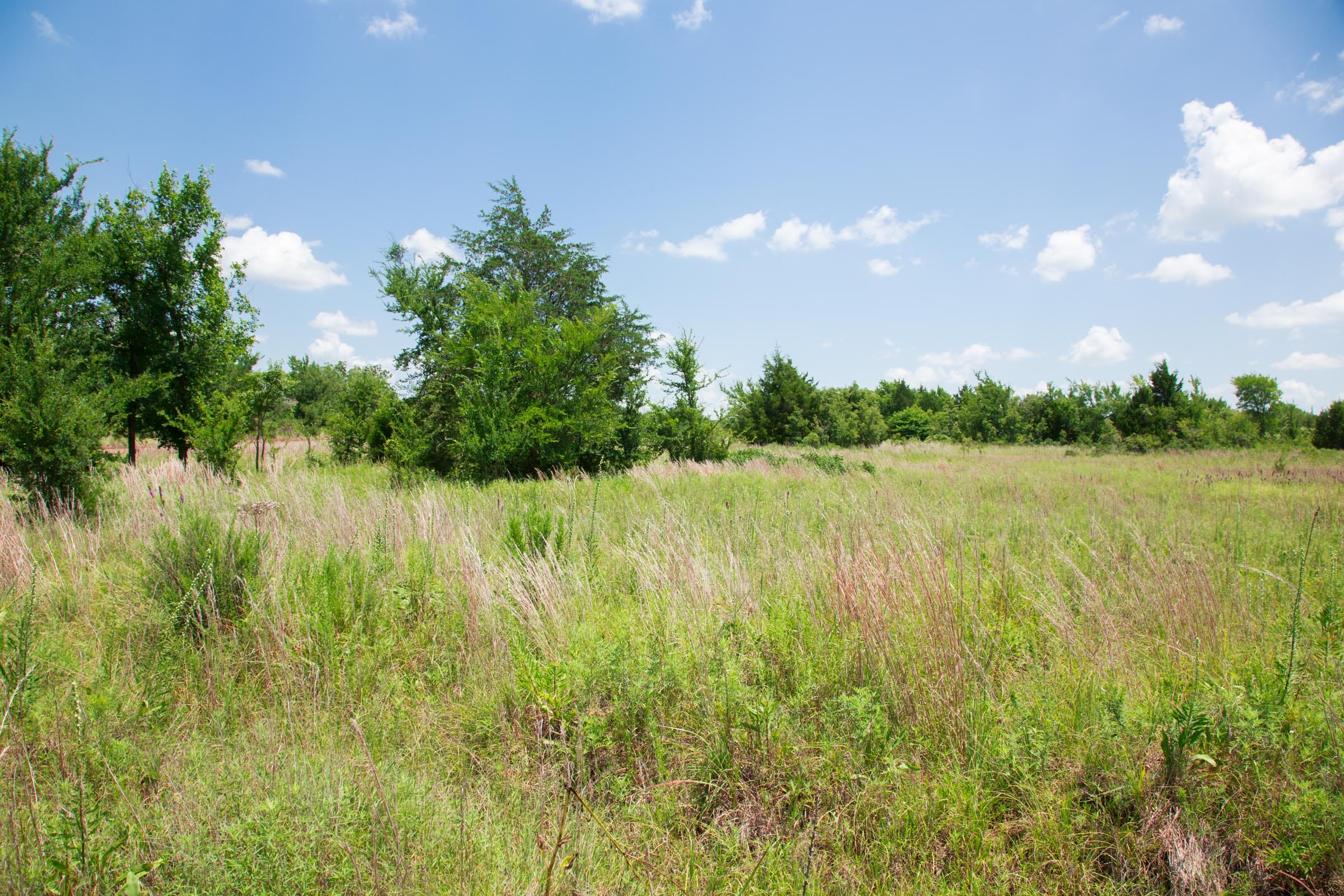 Deep Fork Ranch Tract 9 photo 14