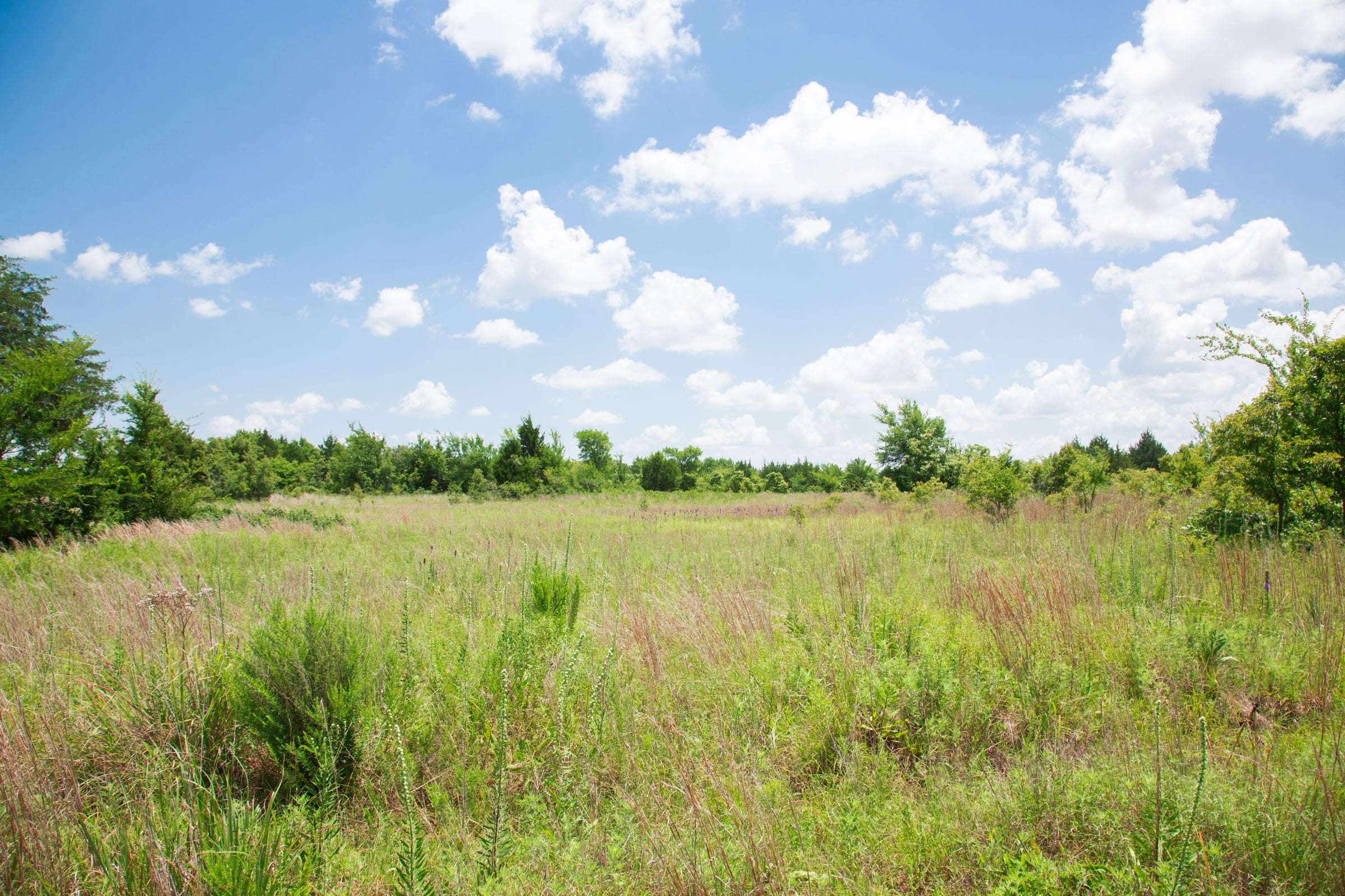 Deep Fork Ranch Tract 9 photo 15
