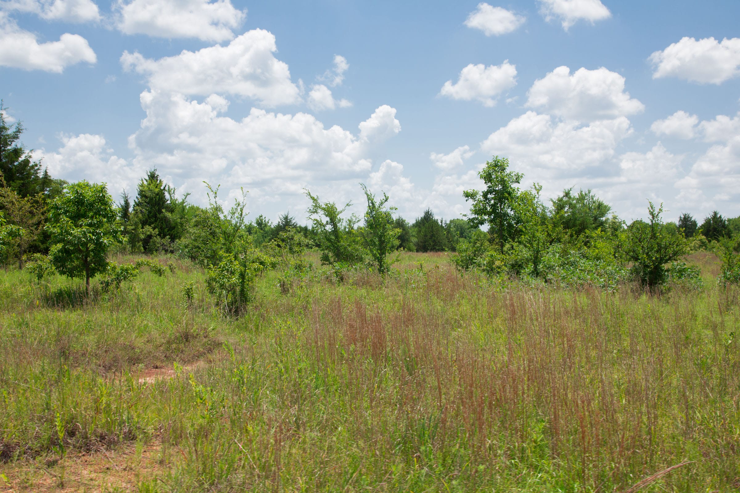 Deep Fork Ranch Tract 9 photo 17