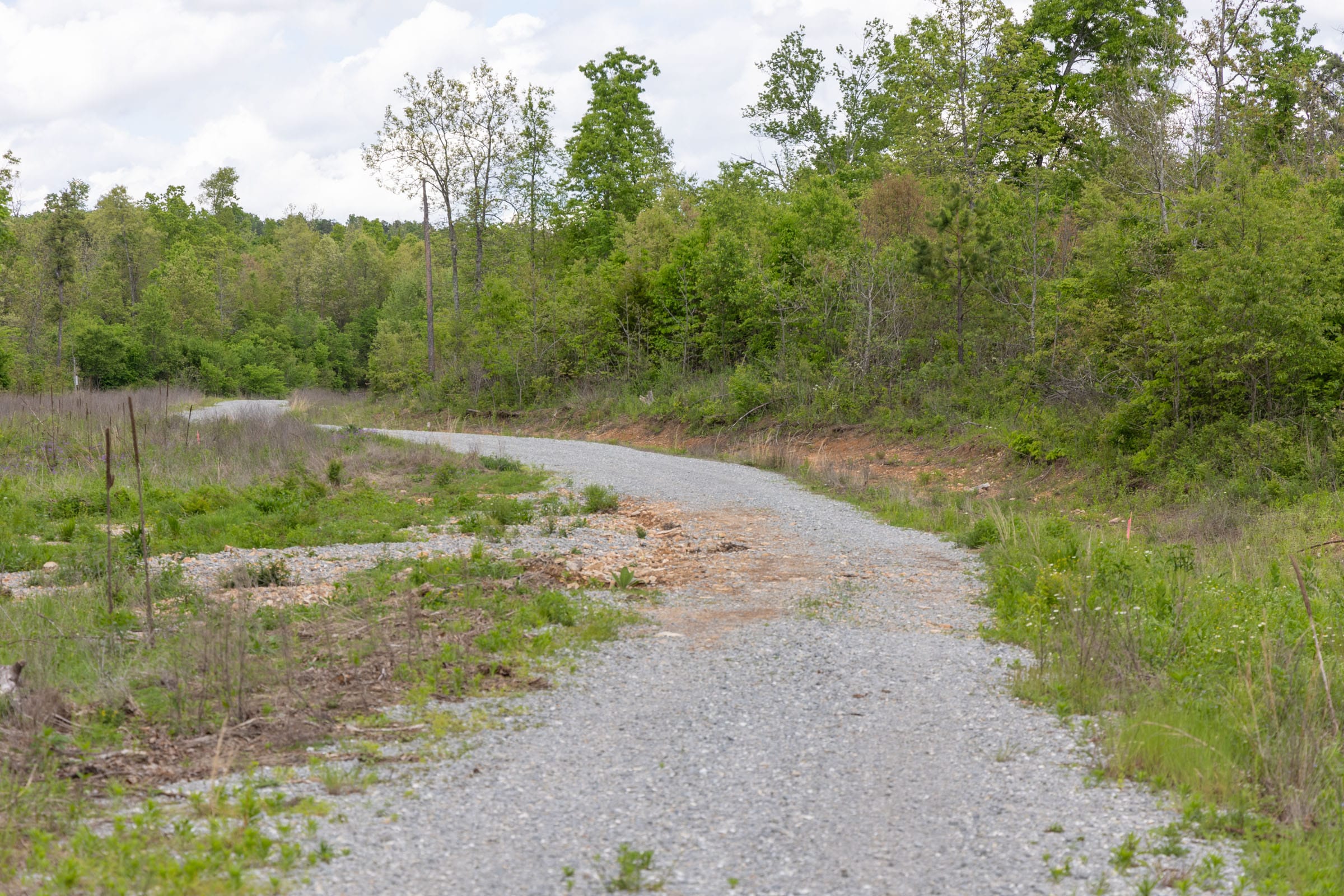 Sleepy Hollow Phase II Tract 104 photo 2