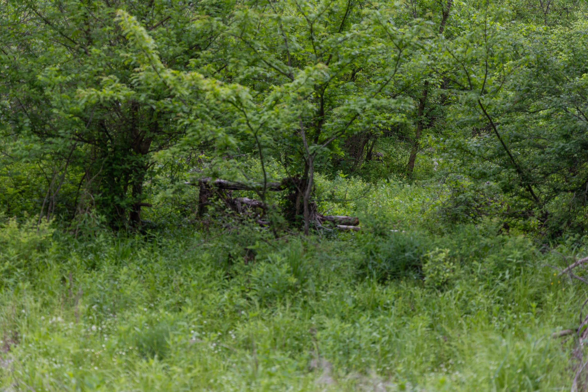 Sleepy Hollow Phase II Tract 104 photo 9