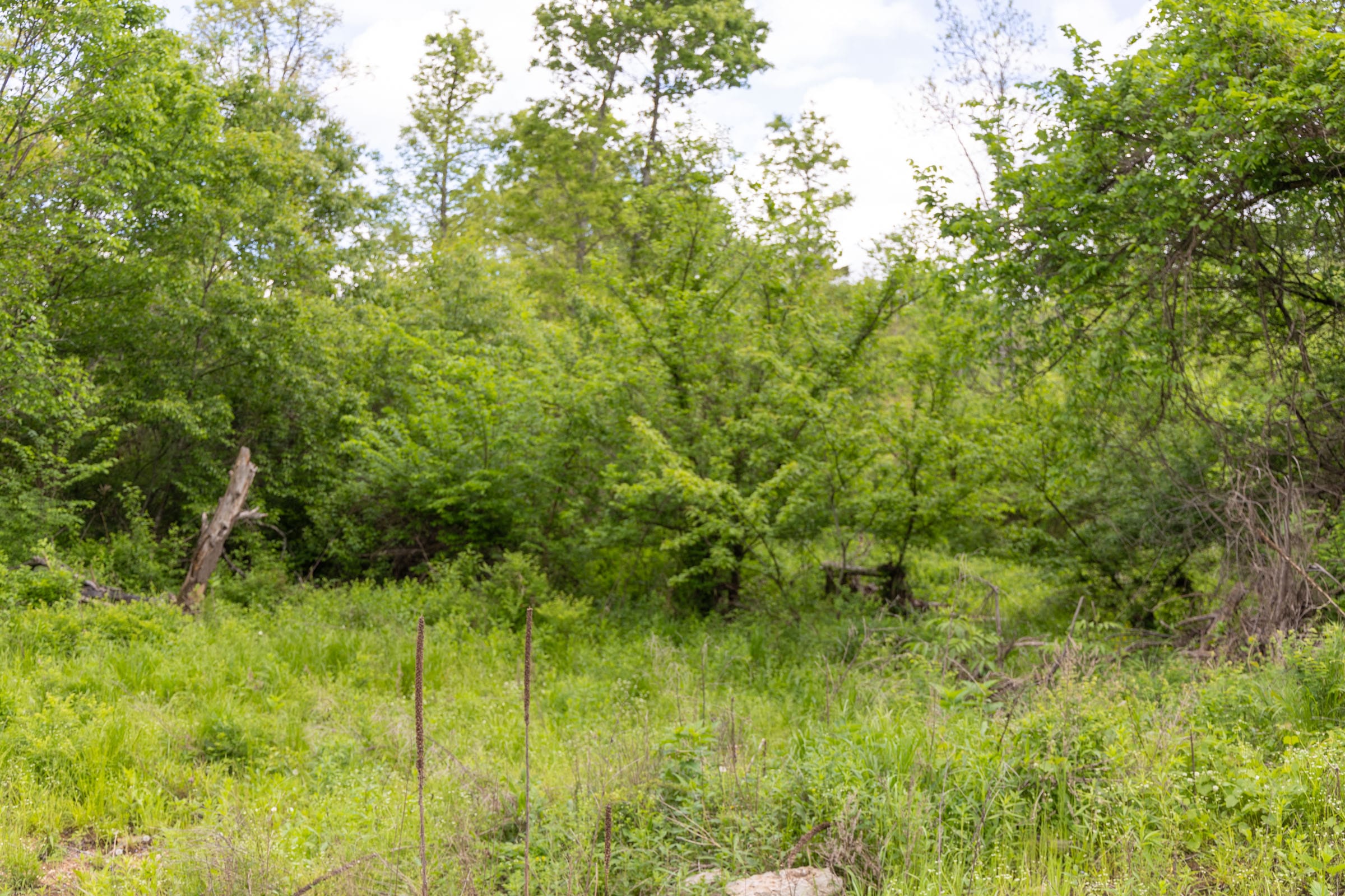 Sleepy Hollow Phase II Tract 104 photo 8