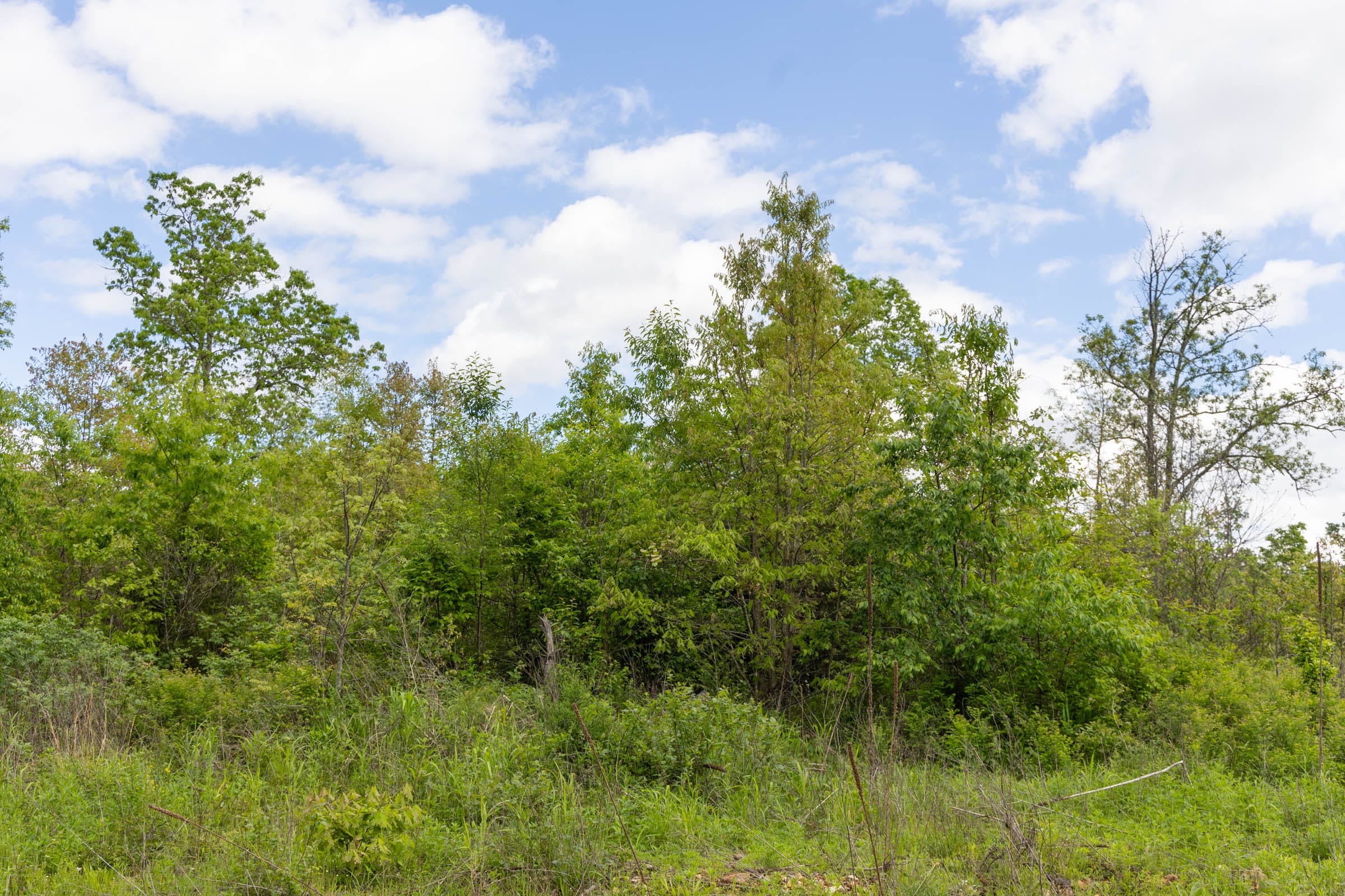 Sleepy Hollow Phase II Tract 104 photo 1