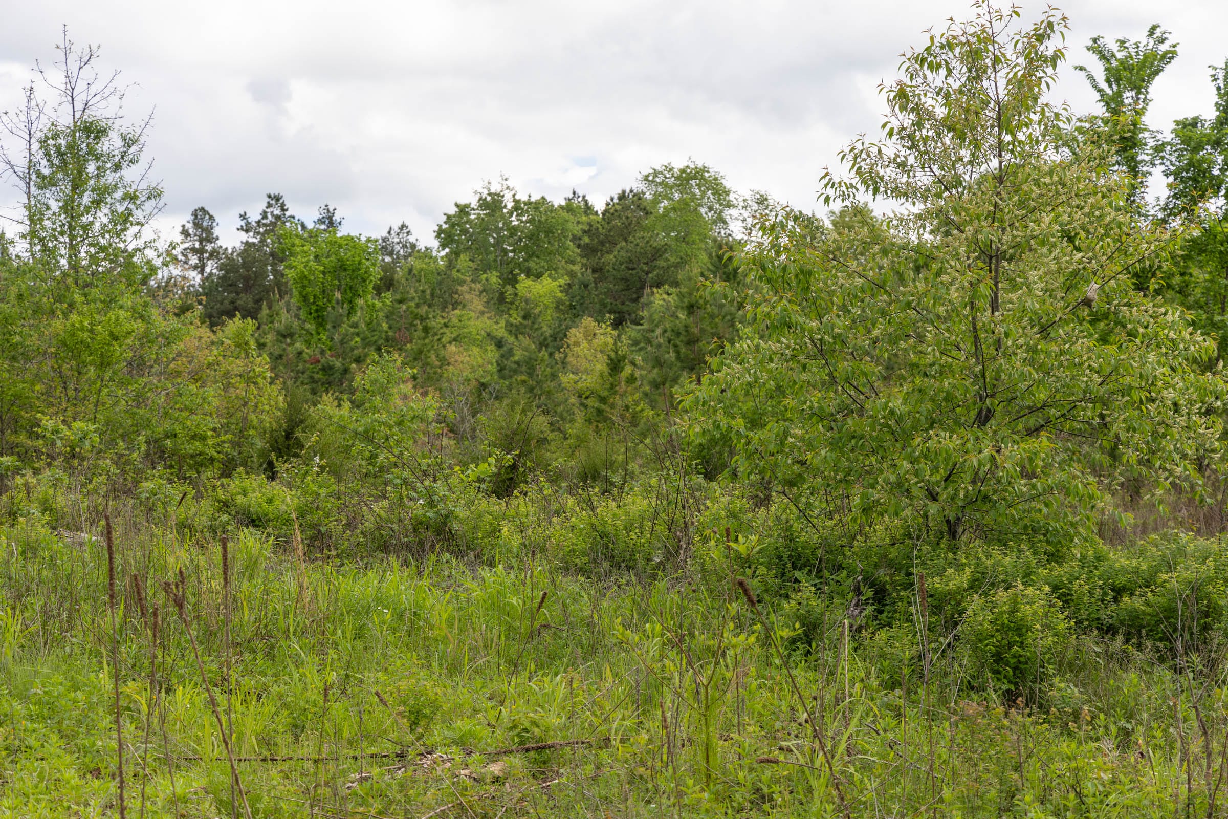 Sleepy Hollow Phase II Tract 104 photo 4