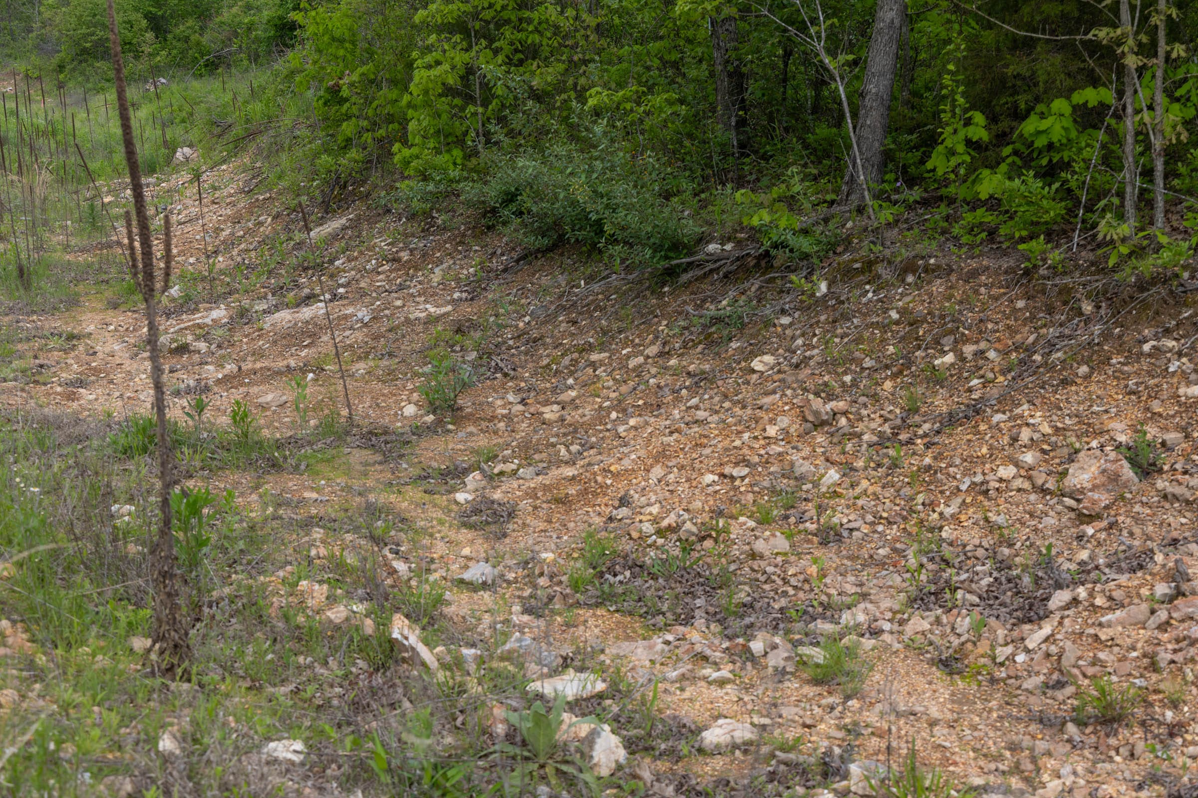Sleepy Hollow Phase II Tract 104 photo 5