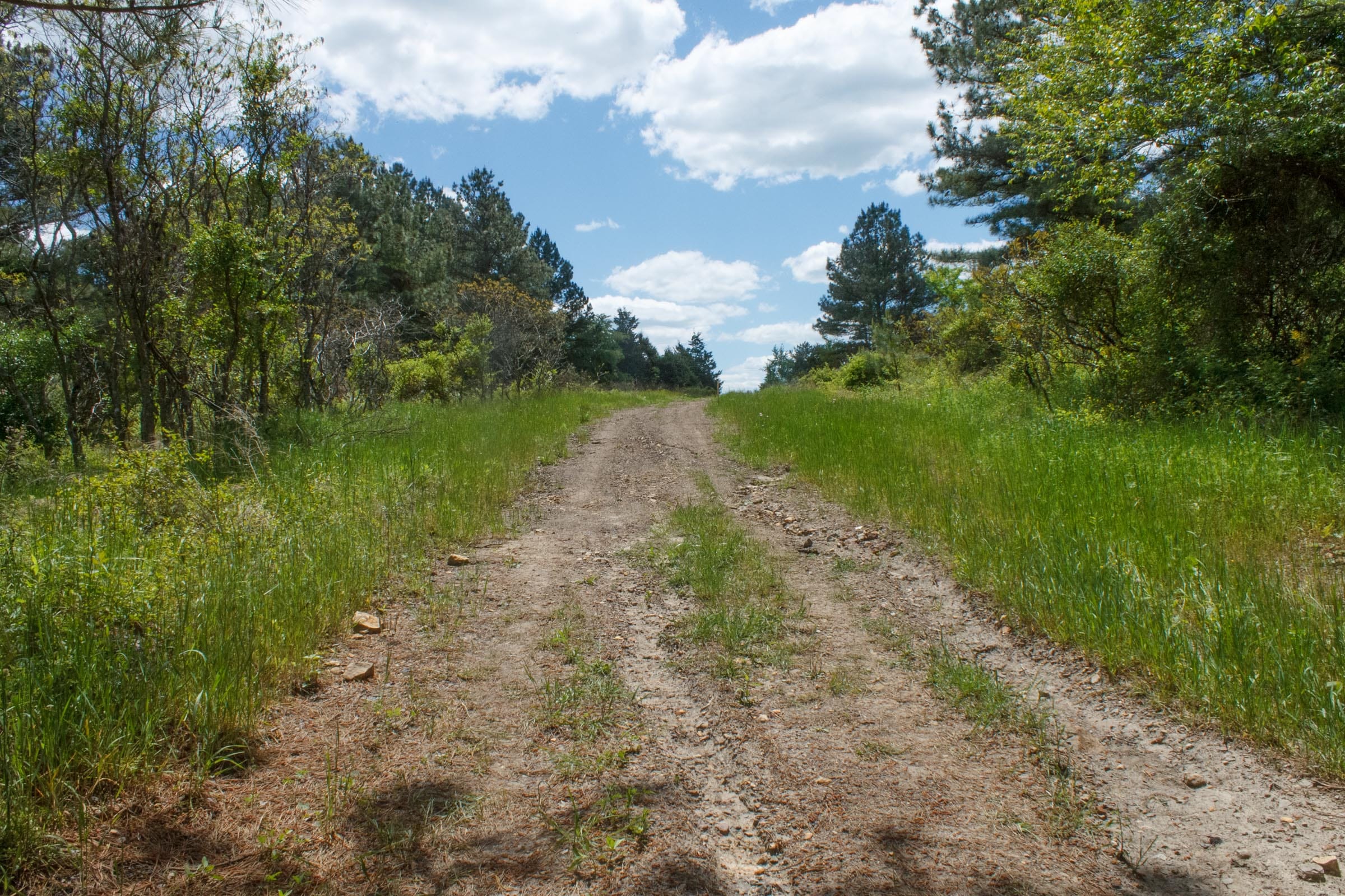 Riverbend Tract 29 photo 1