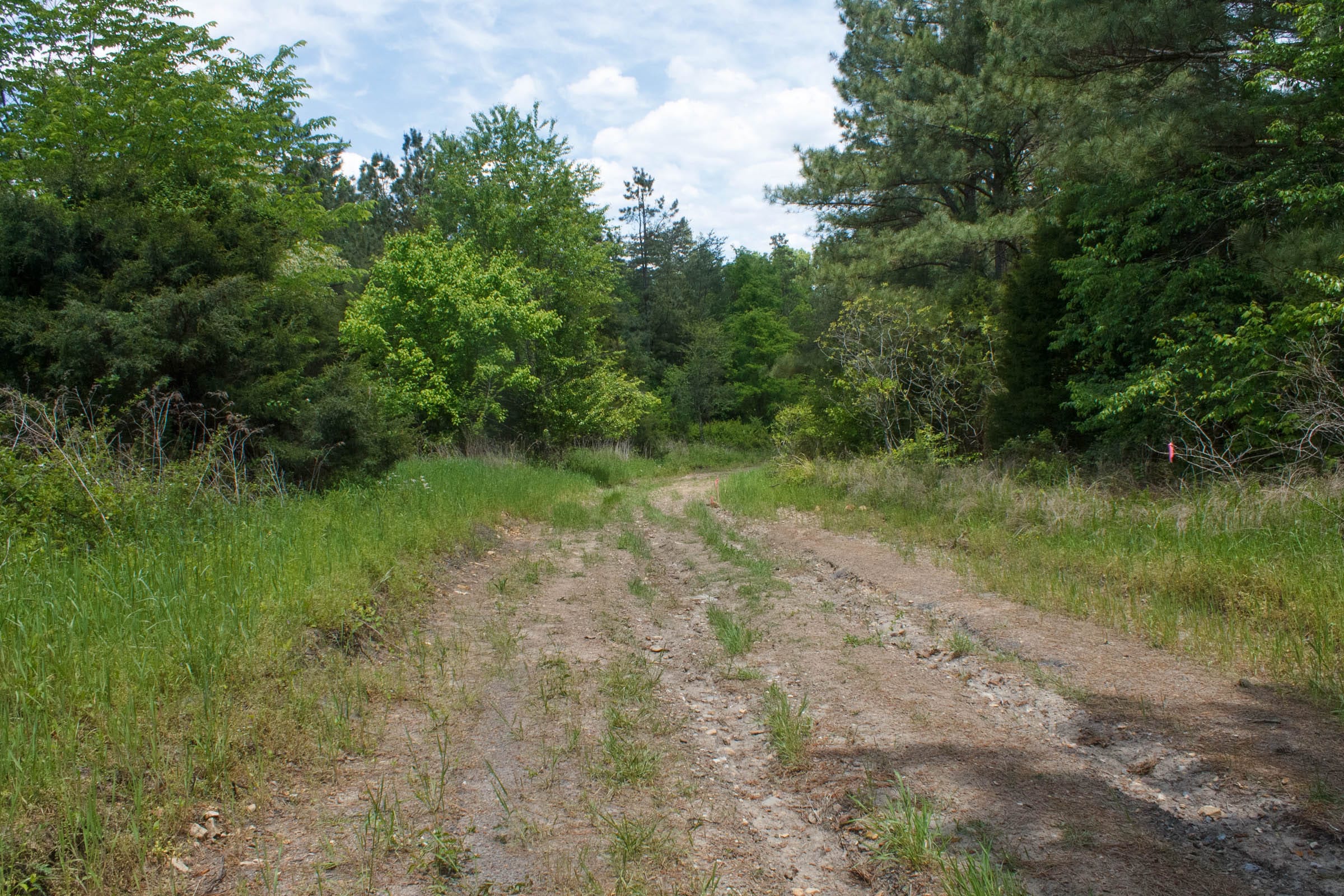 Riverbend Tract 29 photo 5