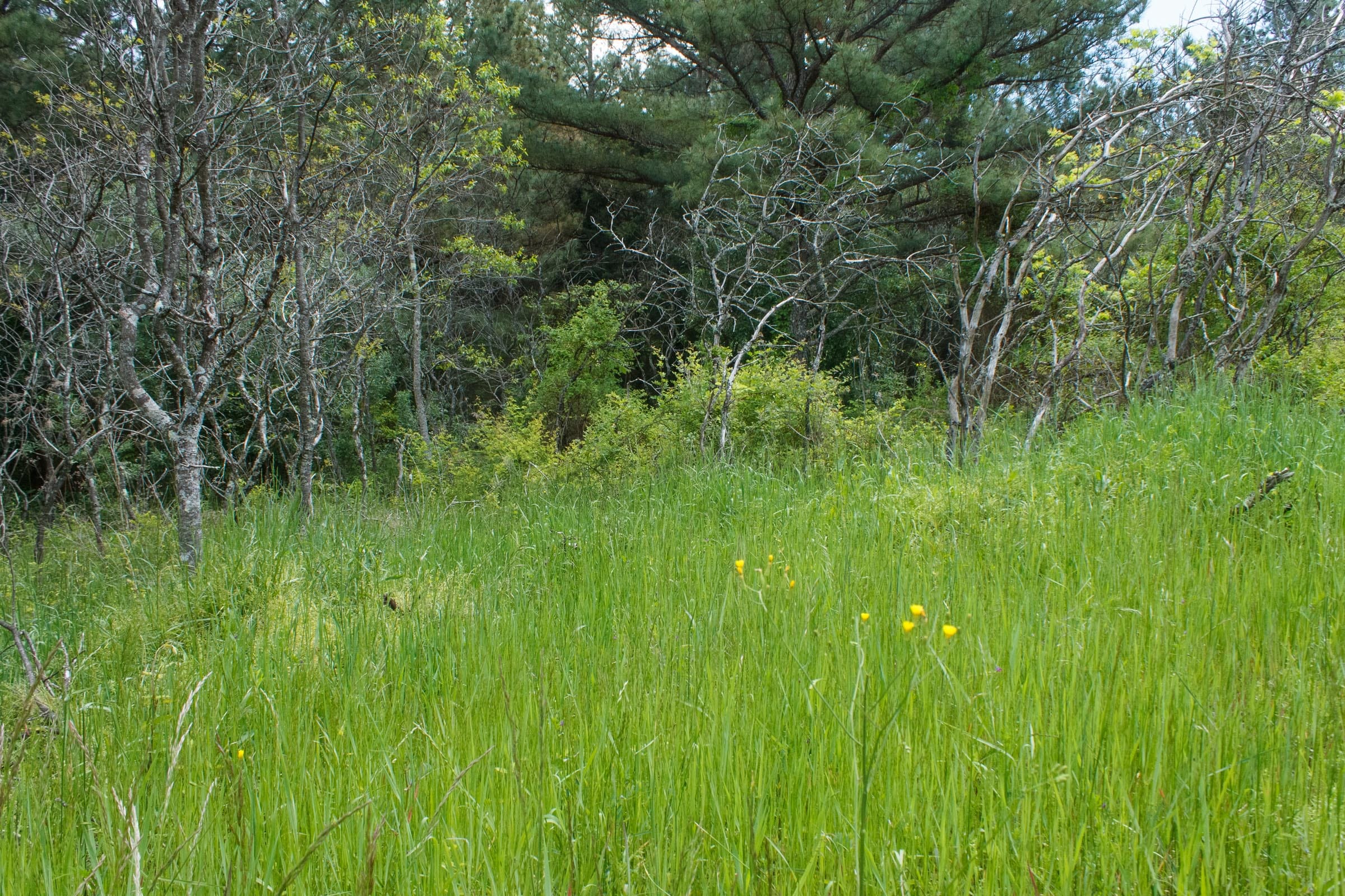 Riverbend Tract 29 photo 8