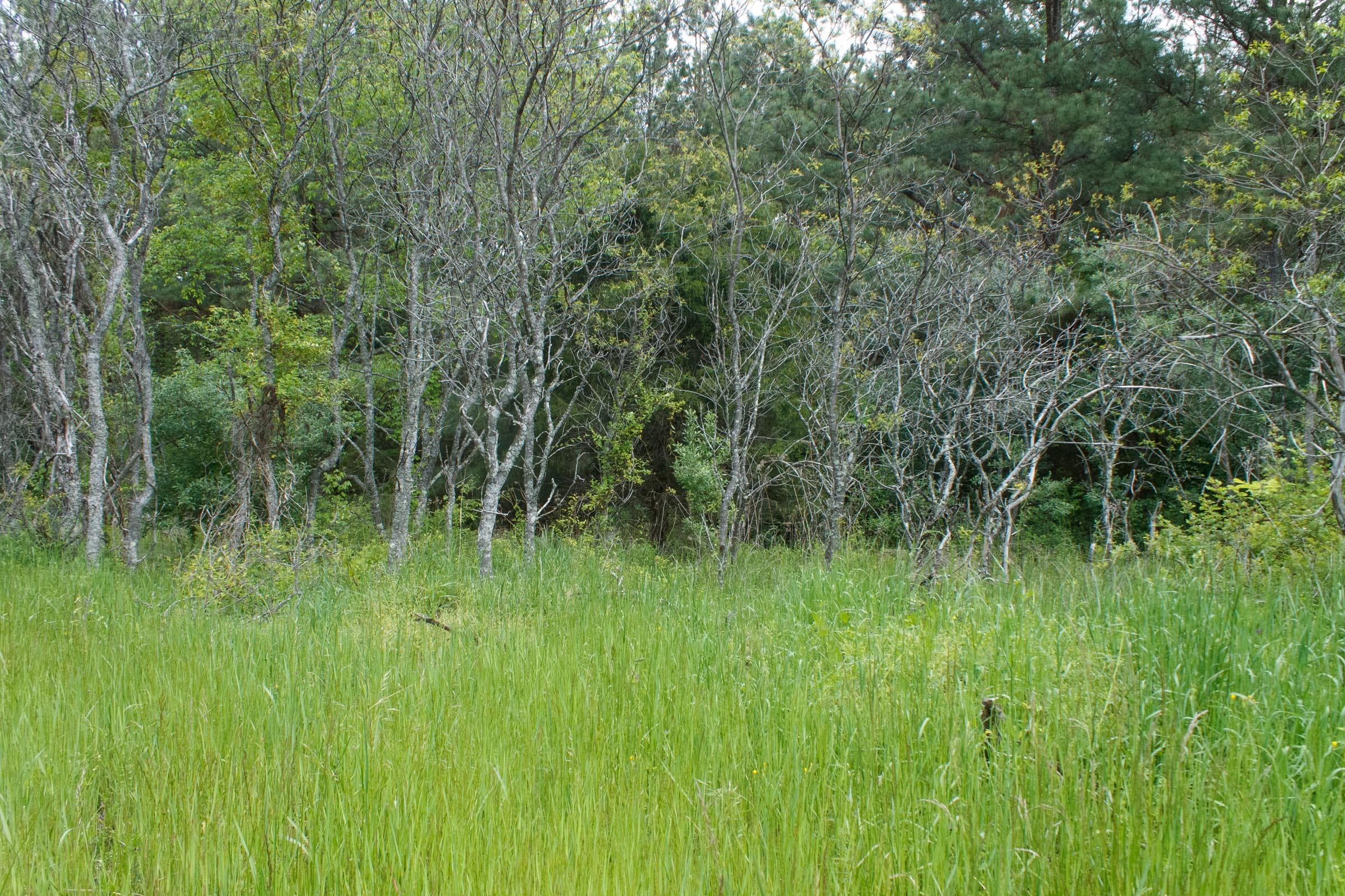 Riverbend Tract 29 photo 9