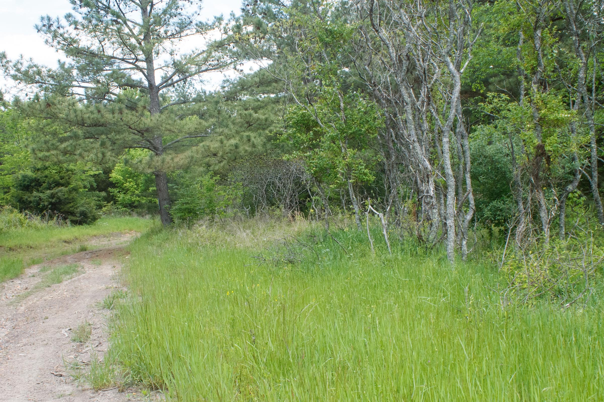 Riverbend Tract 29 photo 11
