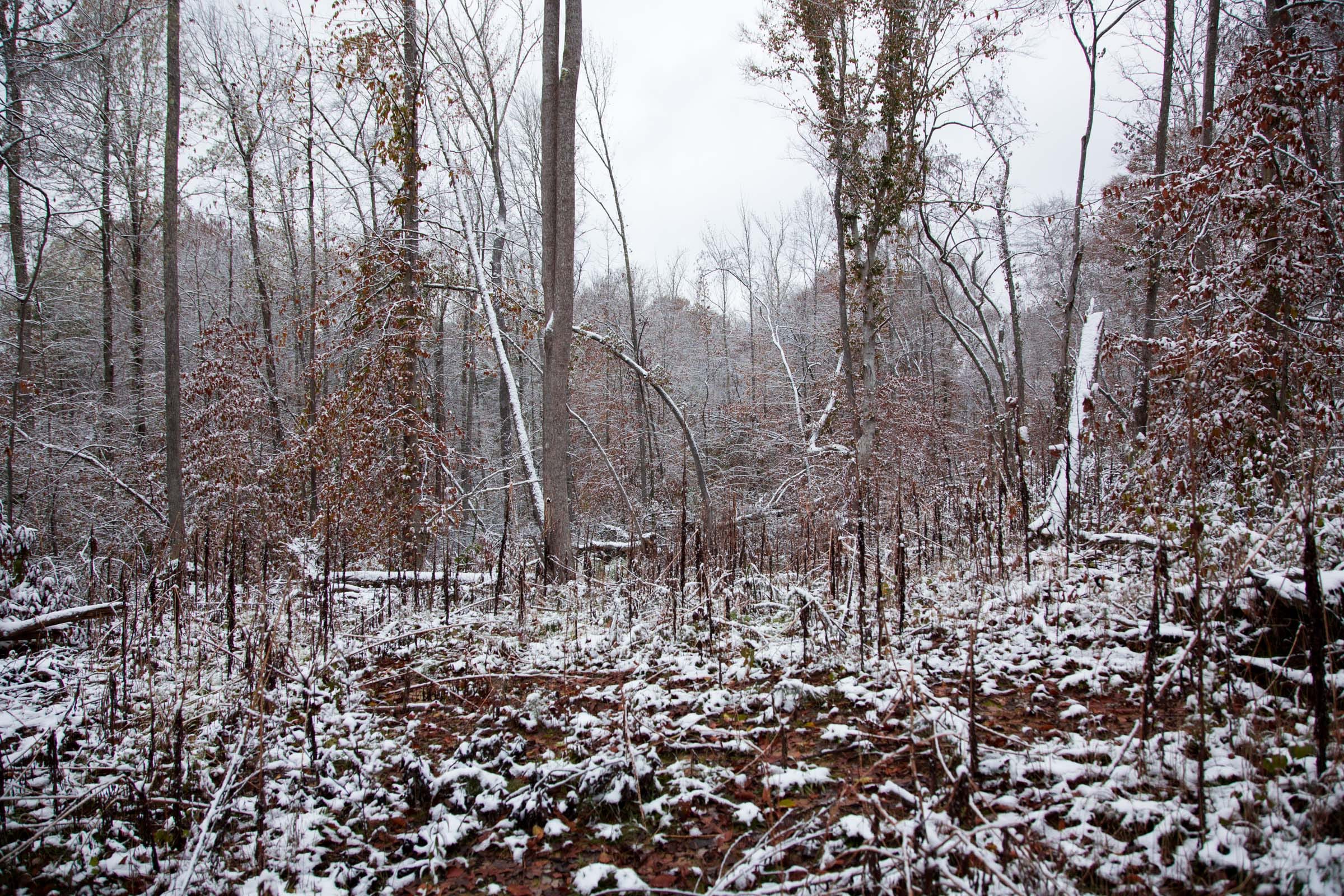 Sweet Water Ranch Tract 11 photo 1