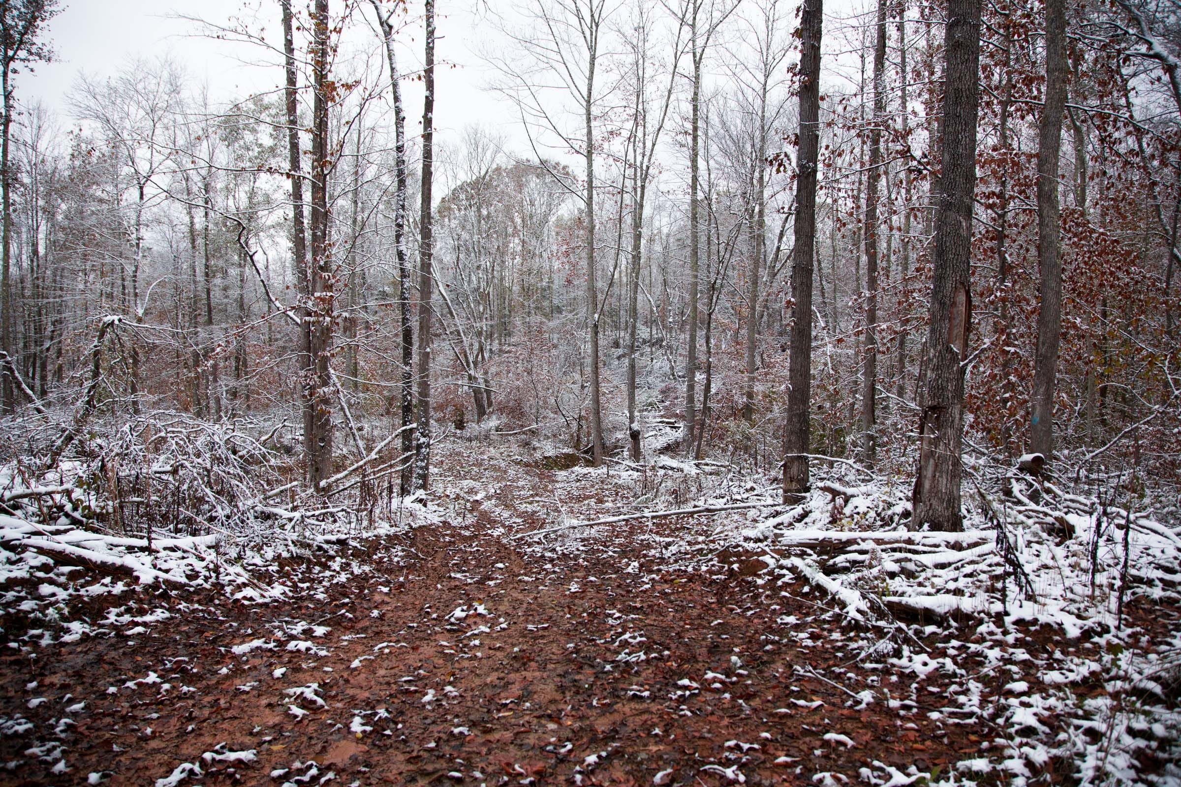 Sweet Water Ranch Tract 11 photo 2