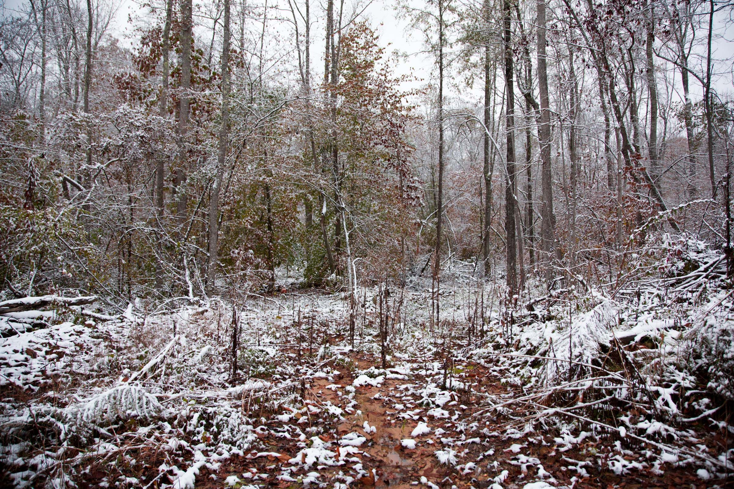 Sweet Water Ranch Tract 11 photo 3