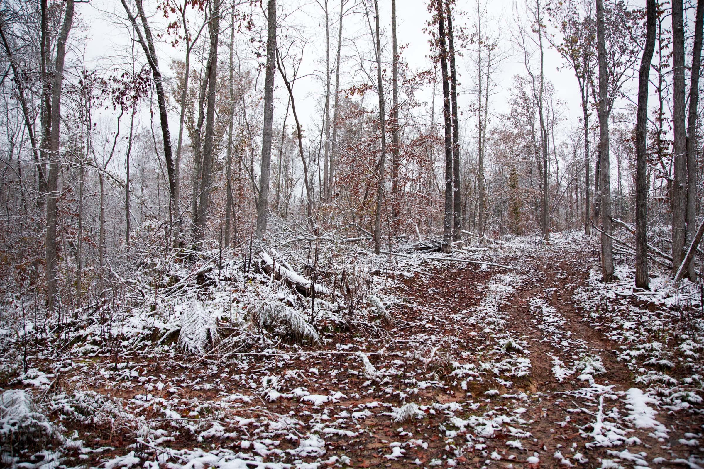 Sweet Water Ranch Tract 11 photo 4