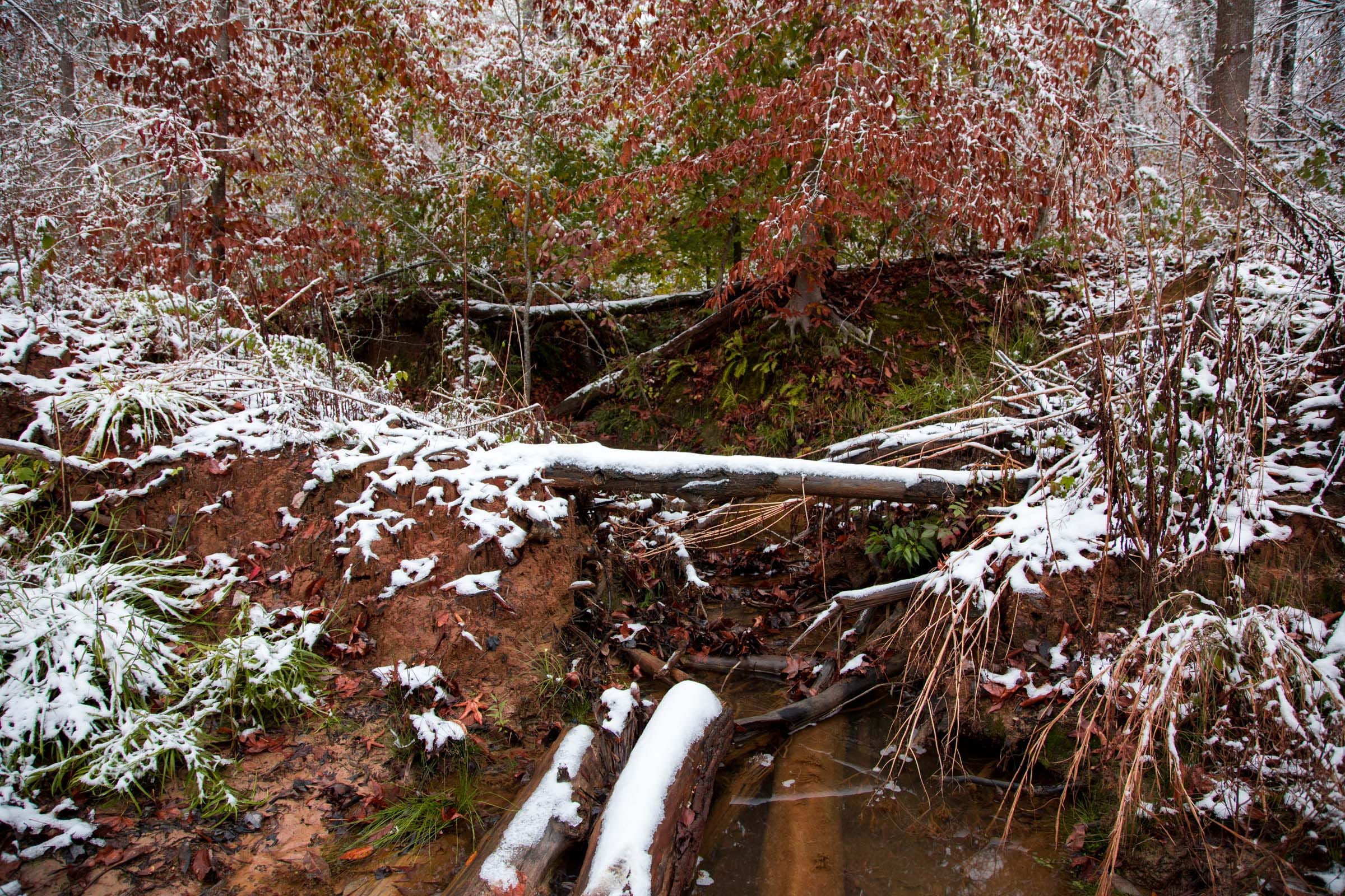 Sweet Water Ranch Tract 11 photo 6