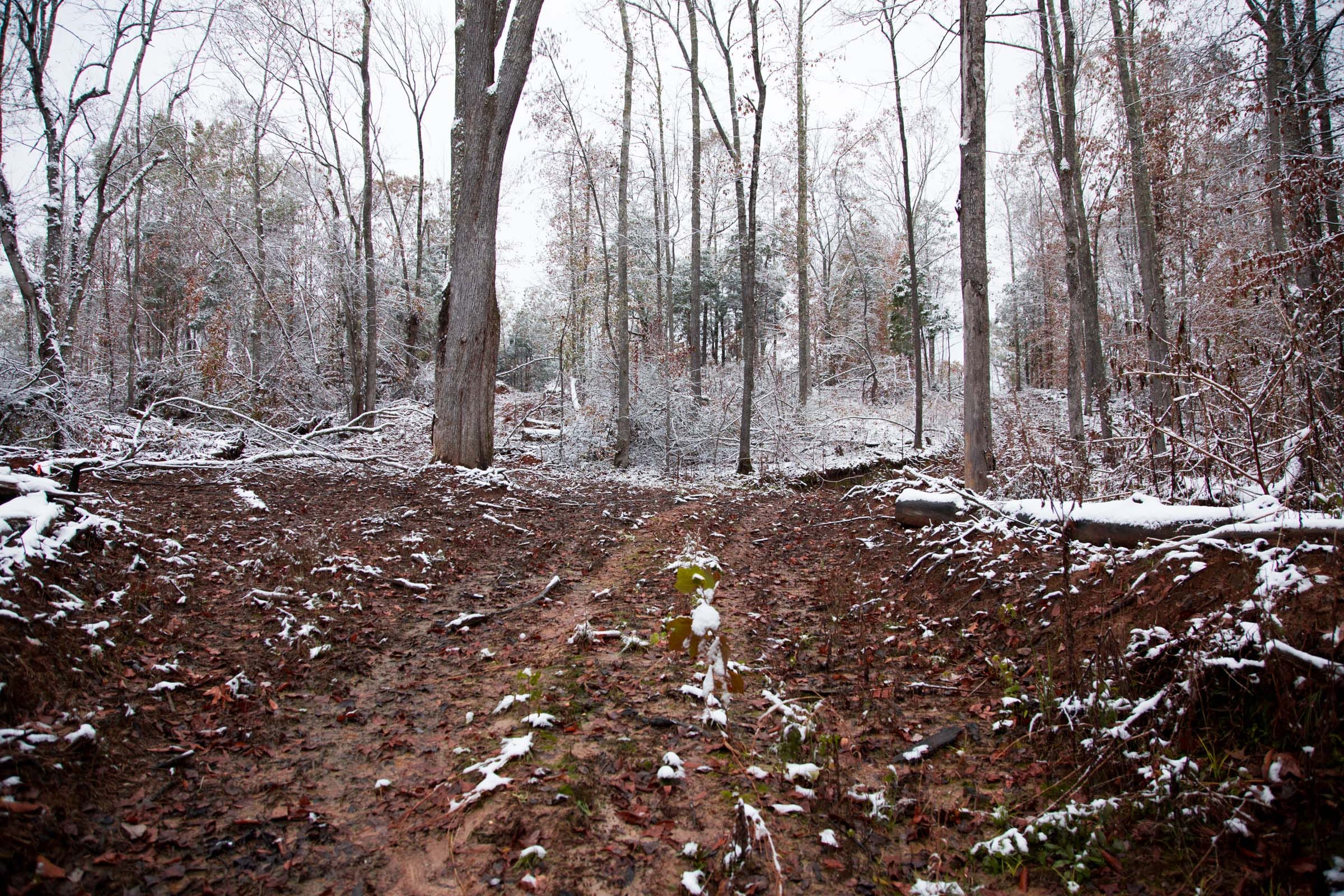 Sweet Water Ranch Tract 11 photo 7