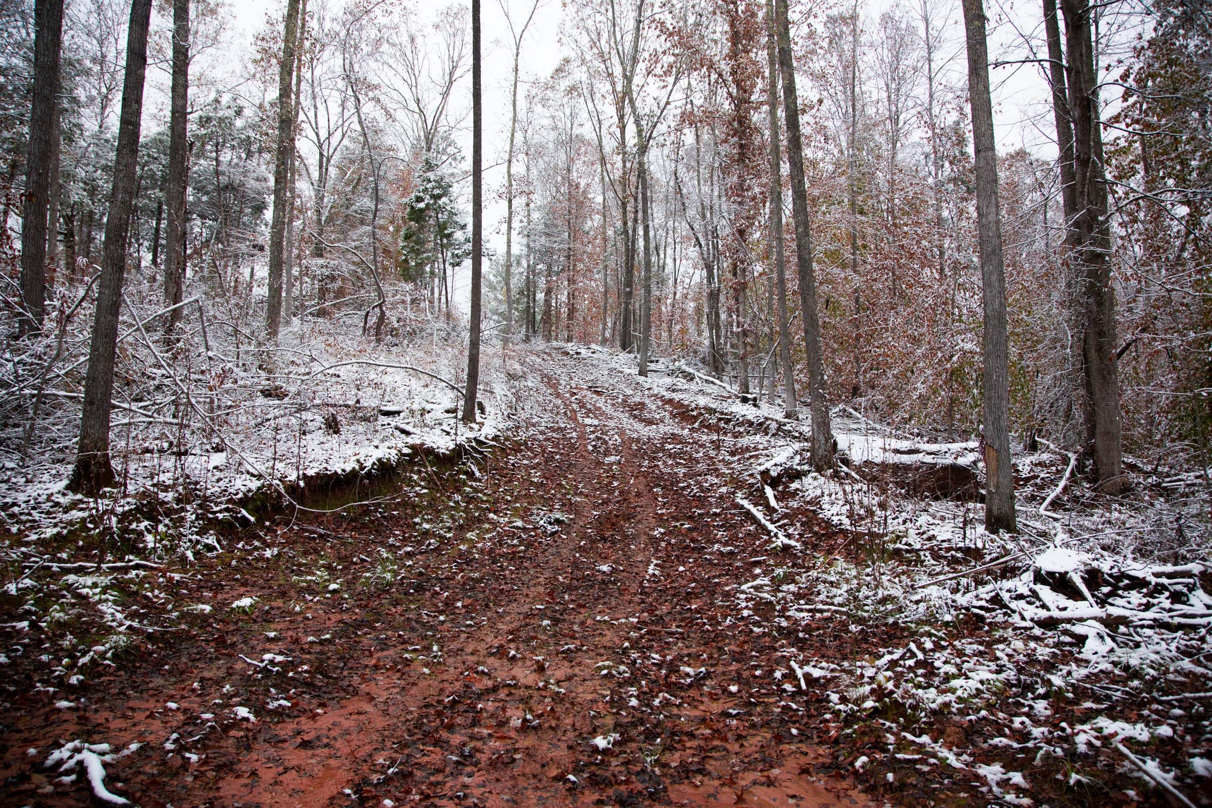Sweet Water Ranch Tract 11 photo 8