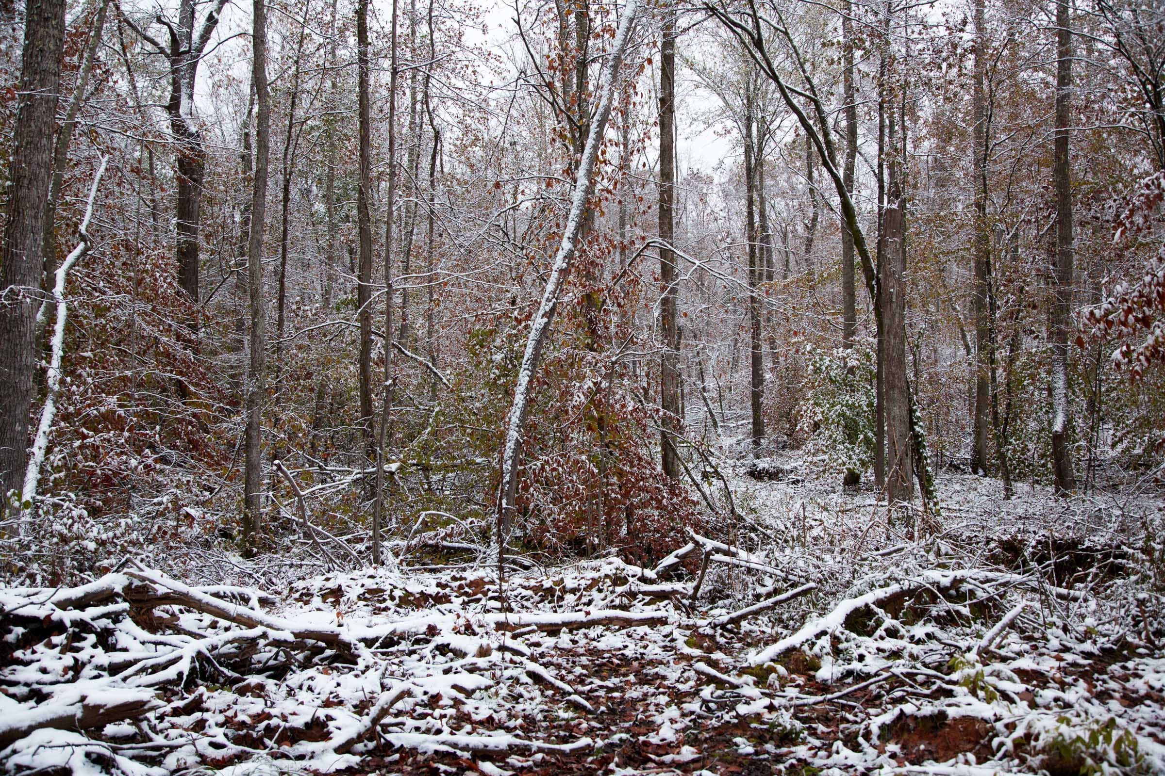 Sweet Water Ranch Tract 11 photo 9