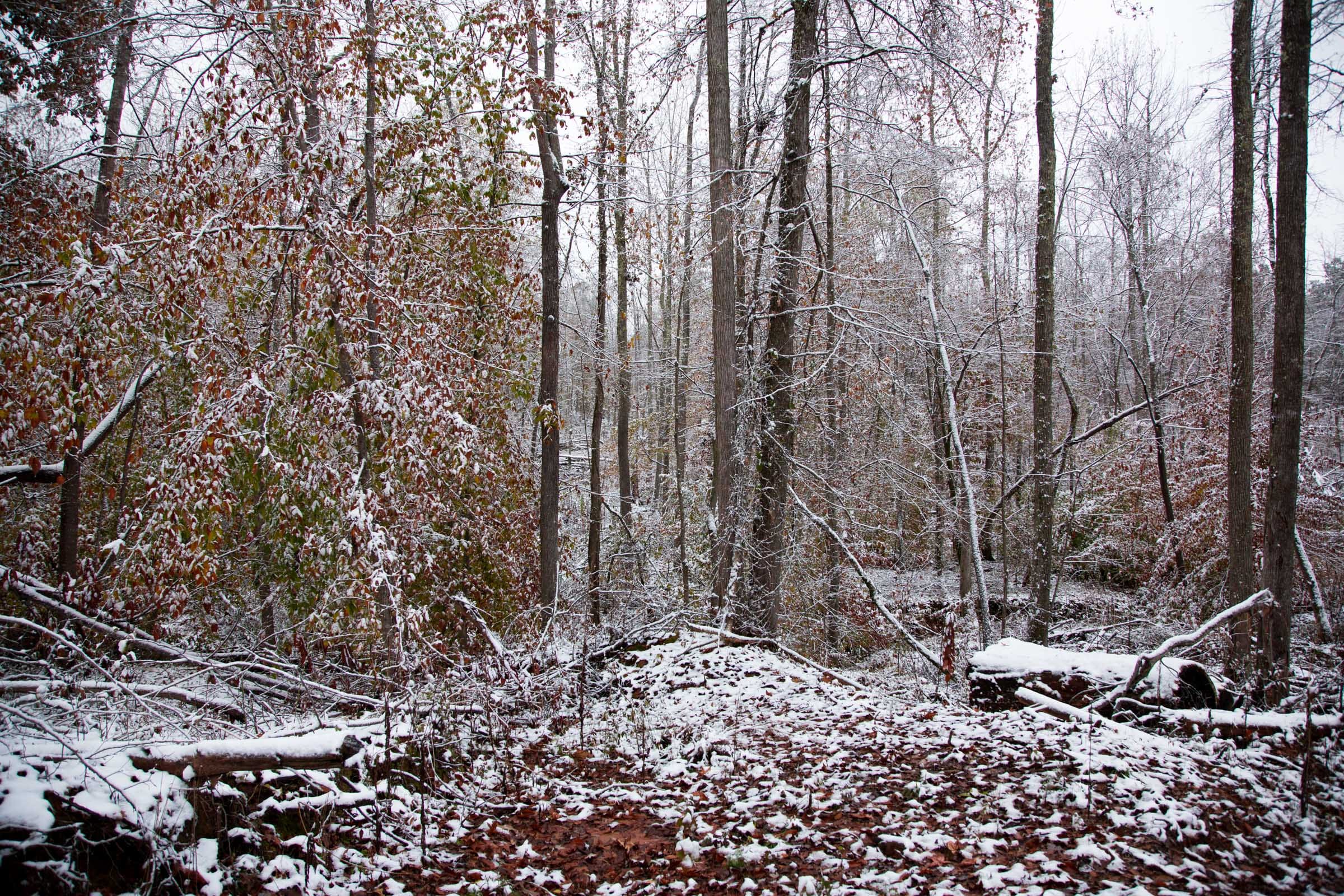 Sweet Water Ranch Tract 11 photo 10
