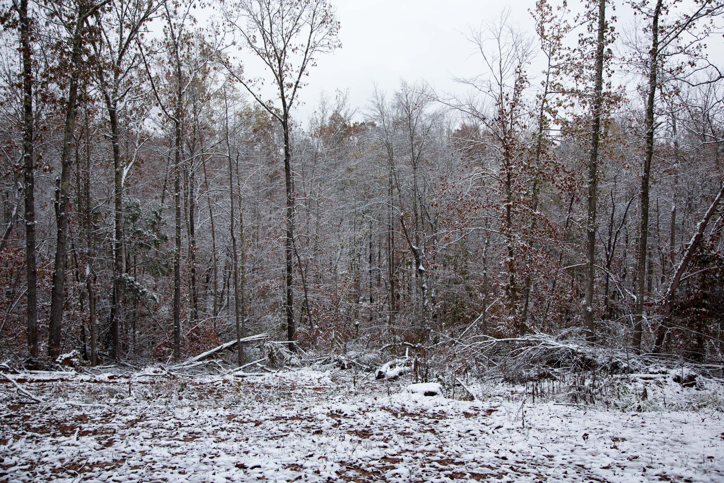 Sweet Water Ranch Tract 11 photo 12