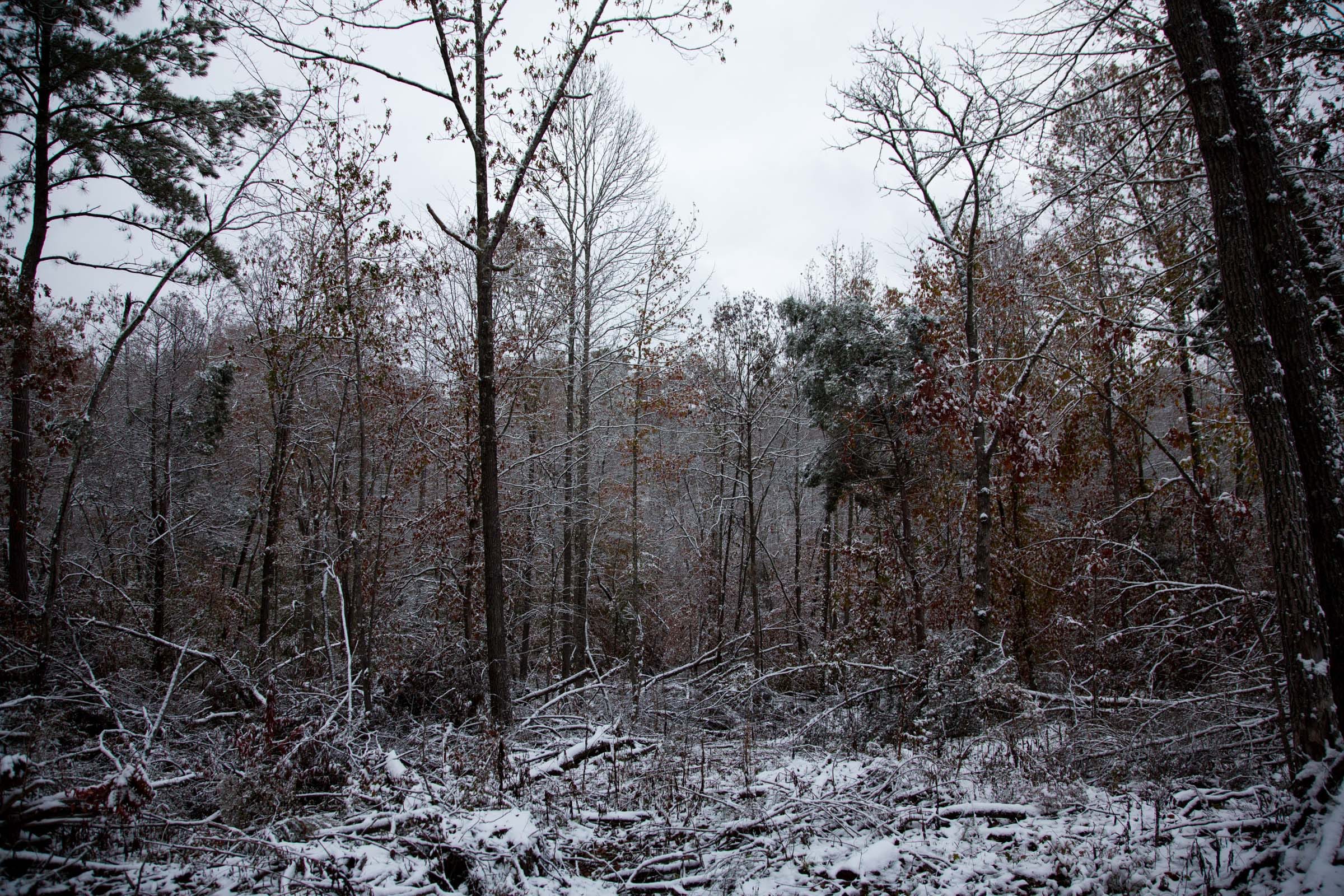Sweet Water Ranch Tract 11 photo 14