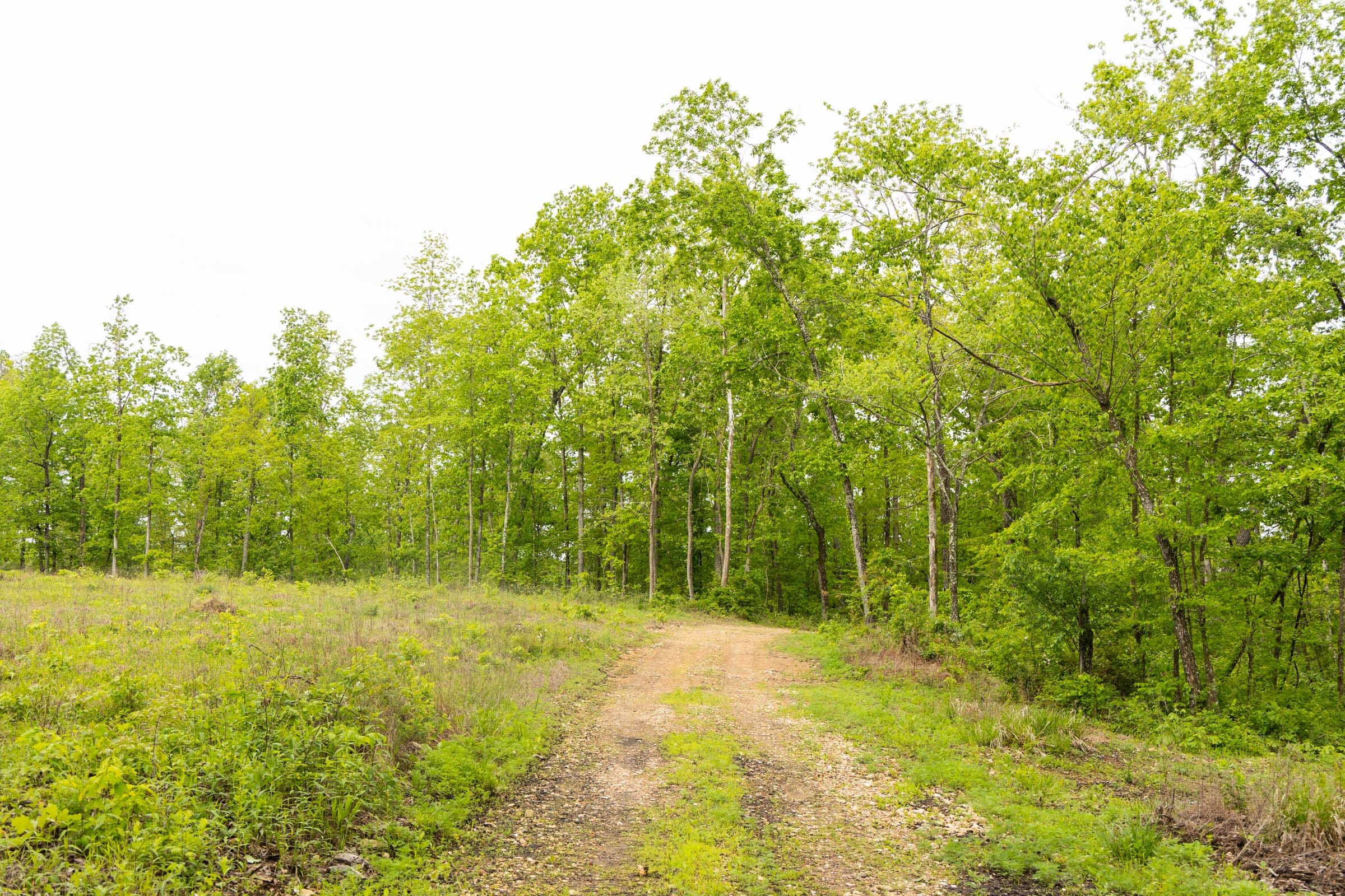 Stardust Estates Tract 35 photo 10