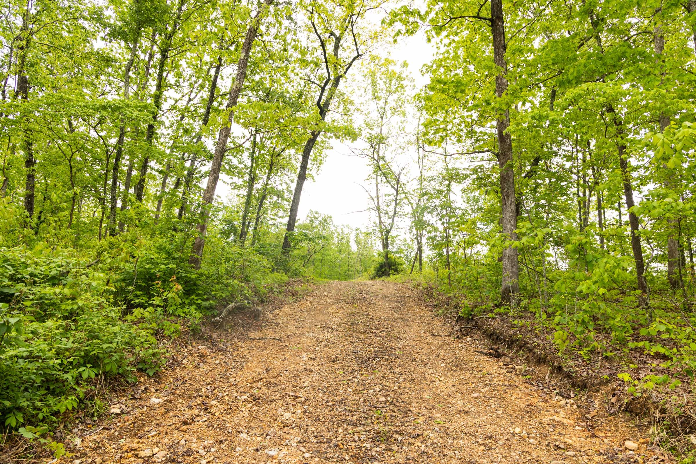 Stardust Estates Tract 35 photo 3