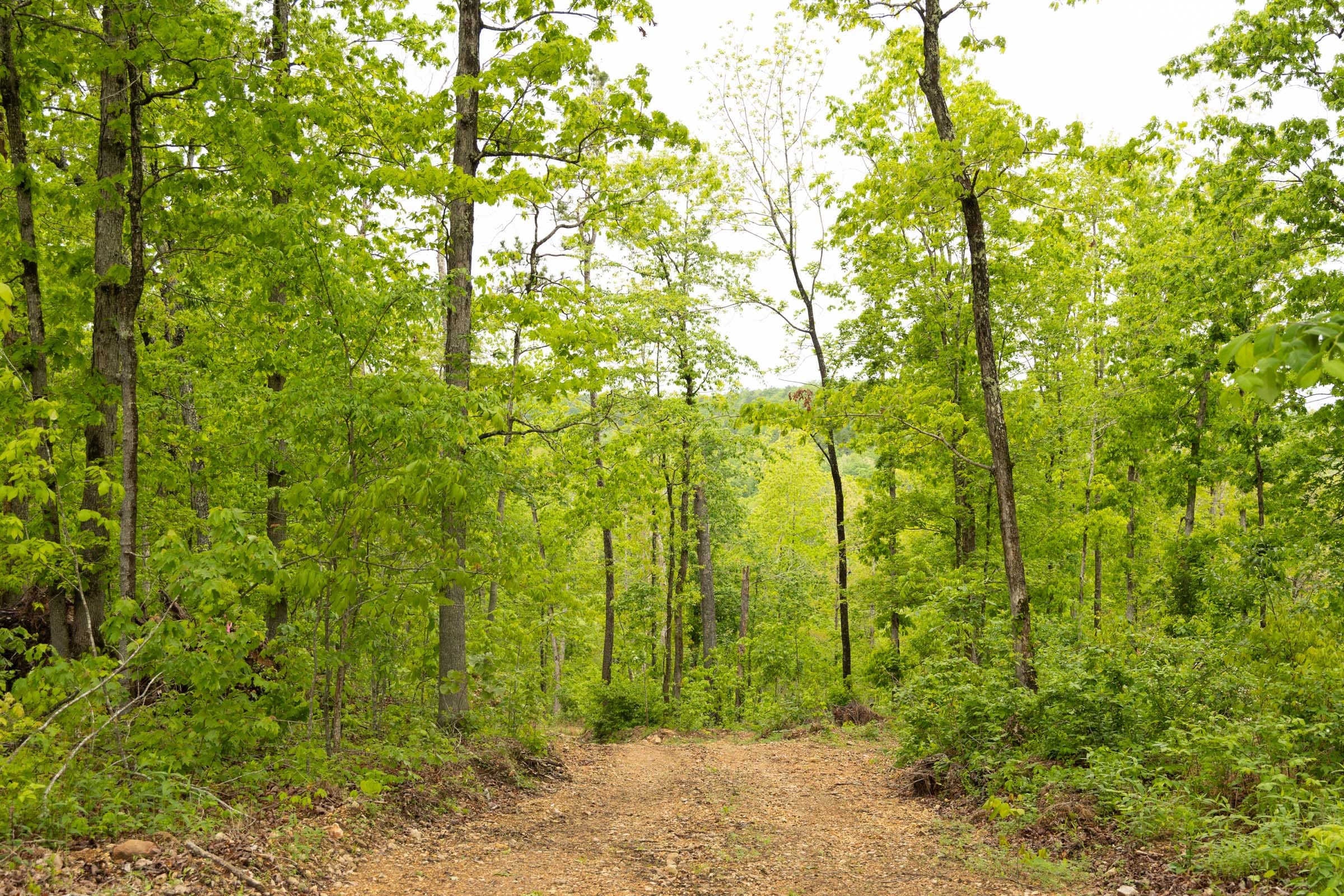 Stardust Estates Tract 35 photo 6