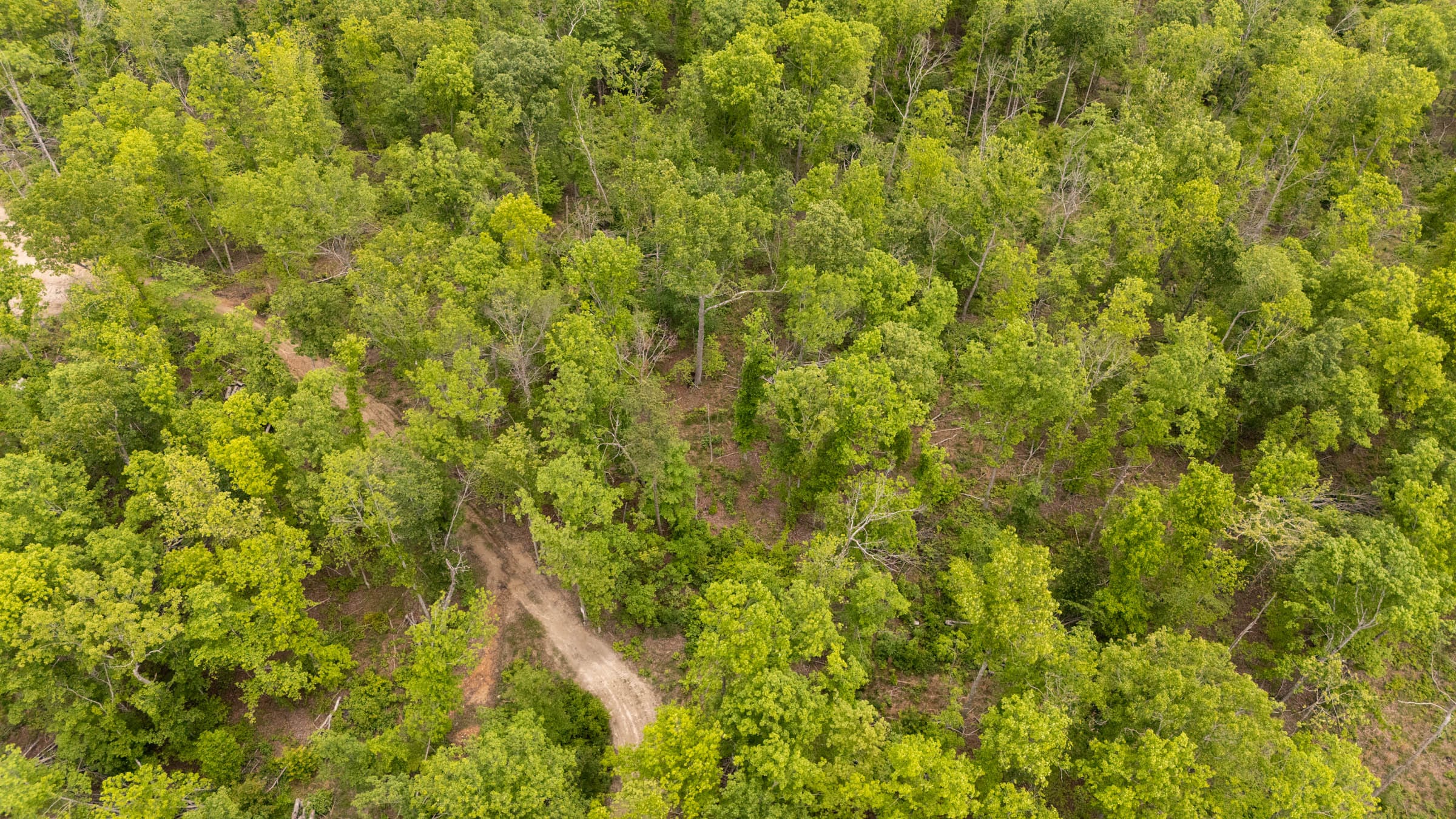 Stardust Estates Tract 33 photo 1