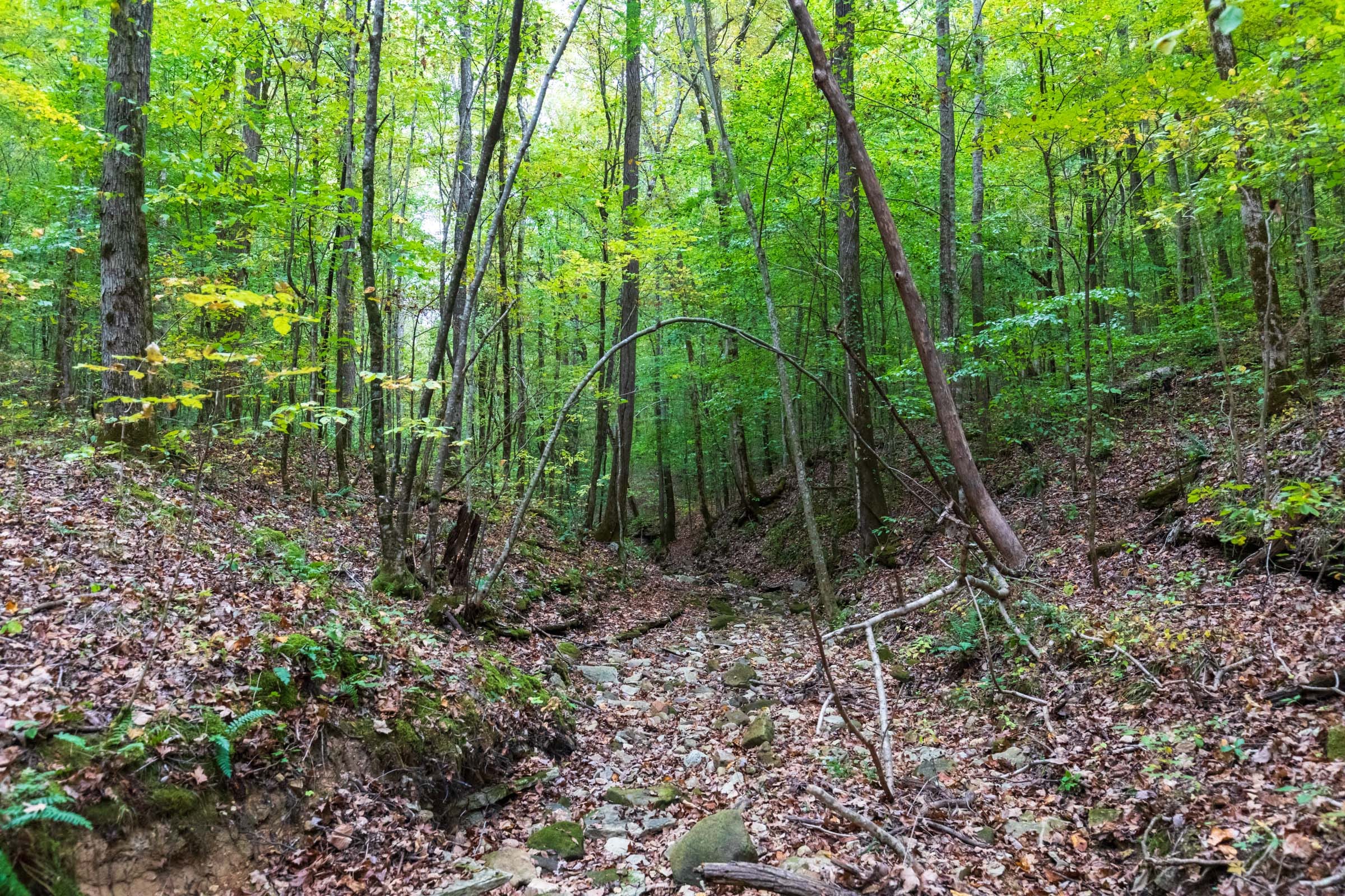 Copper Ridge Tract 4 photo 2