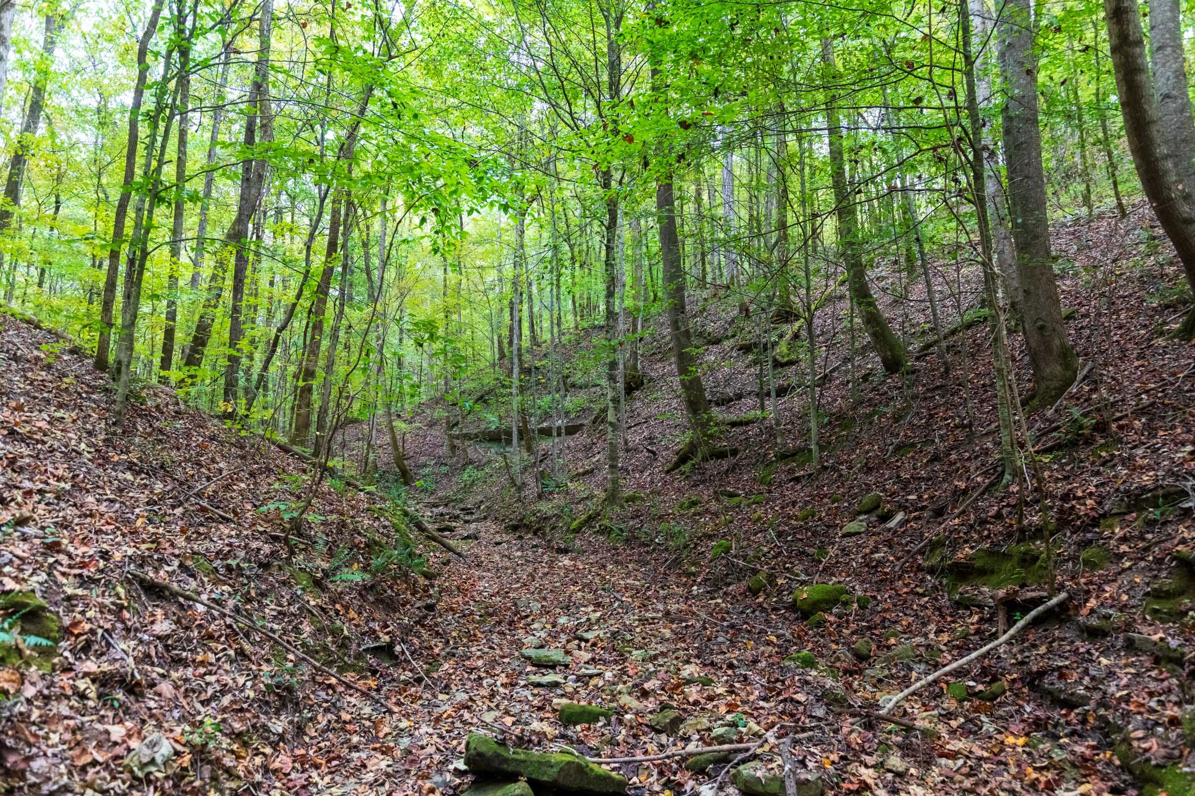 Copper Ridge Tract 4 photo 11
