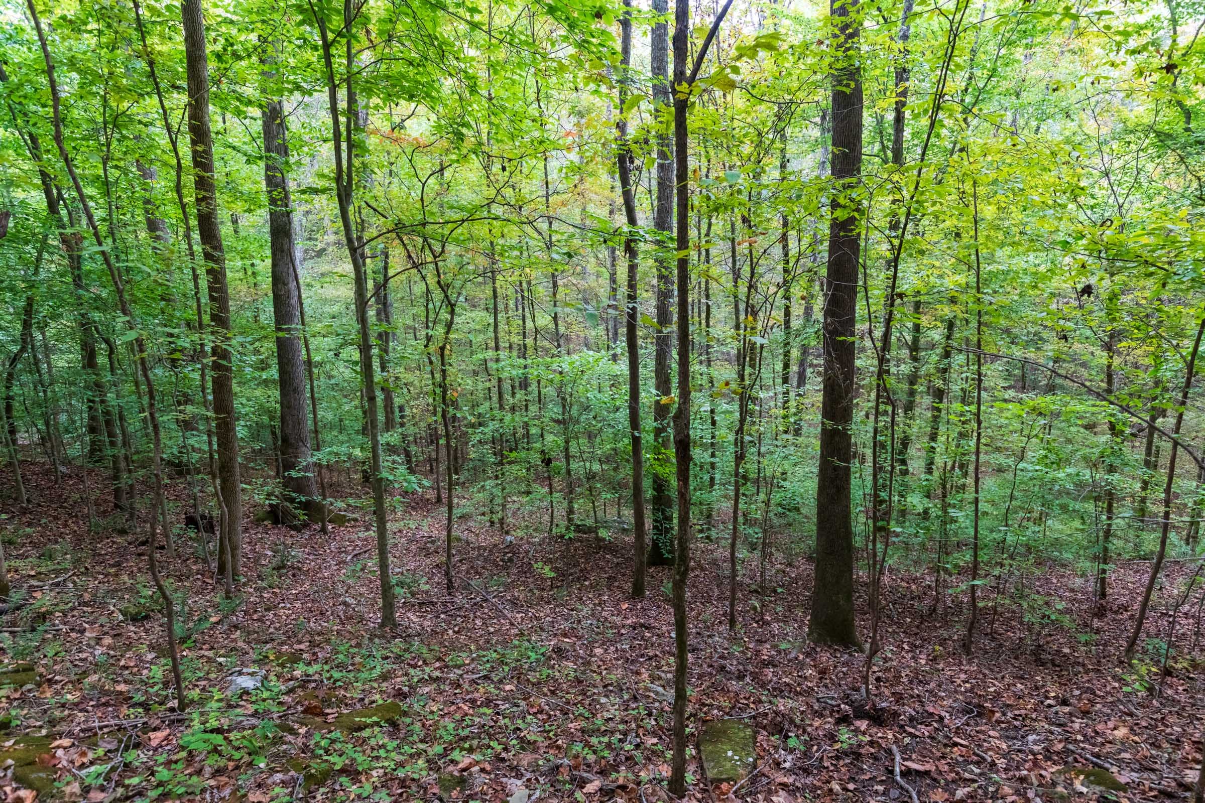 Copper Ridge Tract 4 photo 15