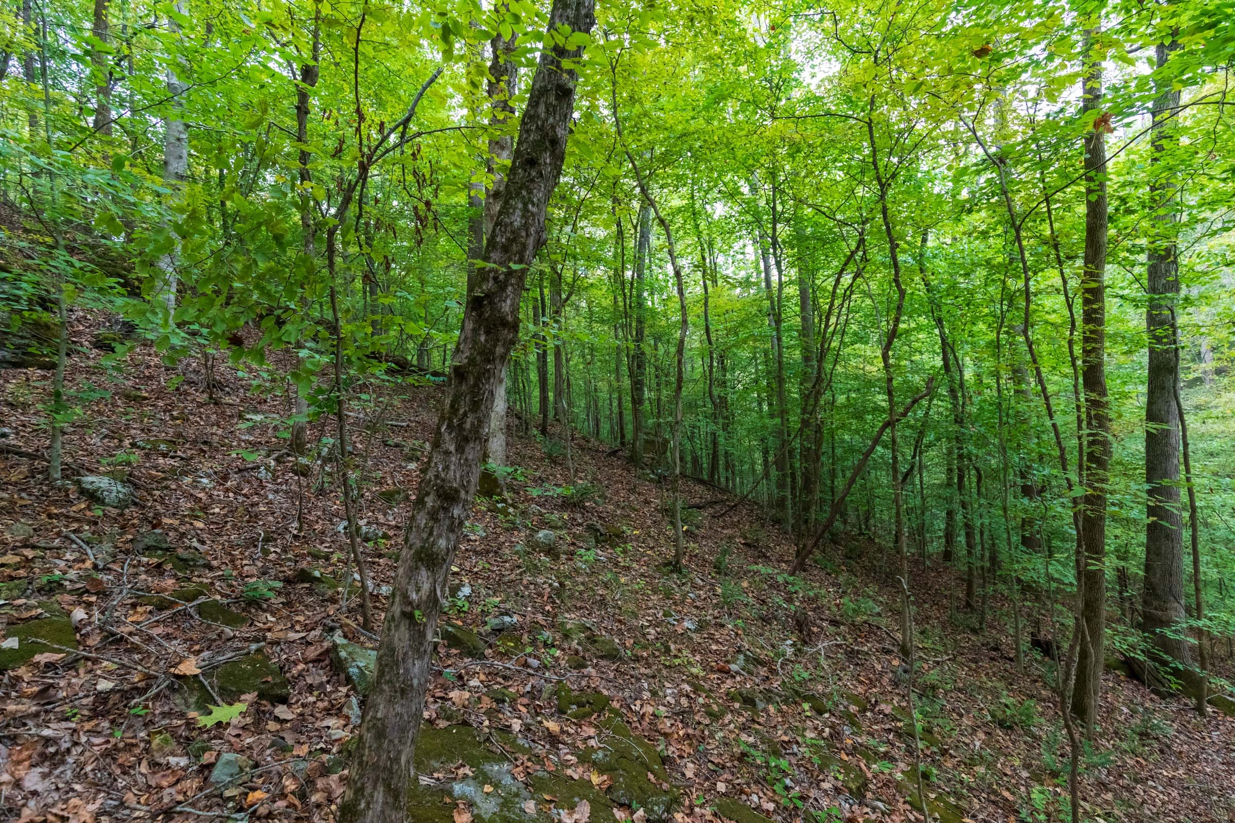 Copper Ridge Tract 4 photo 17