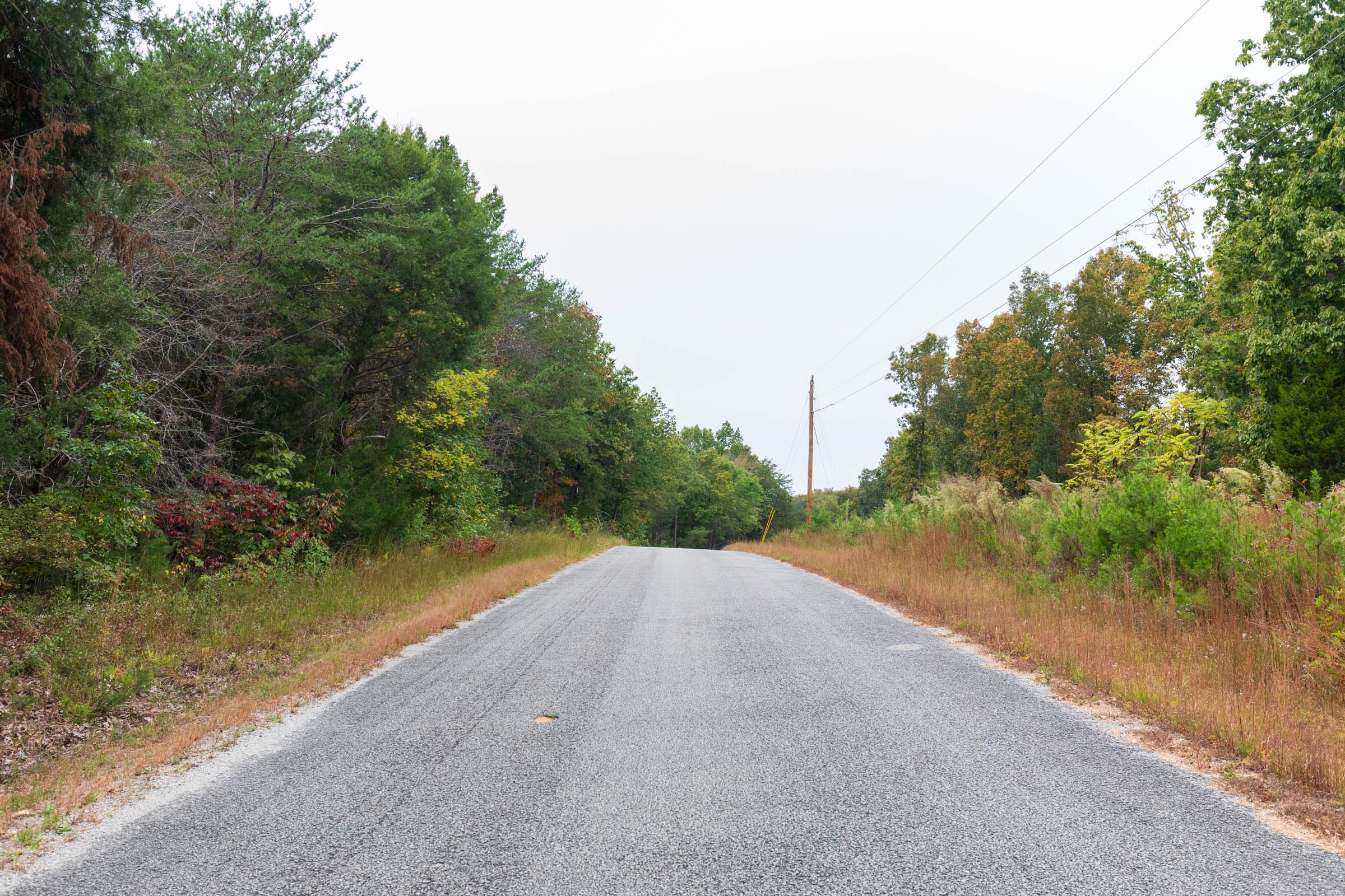 Copper Ridge Tract 4 photo 9