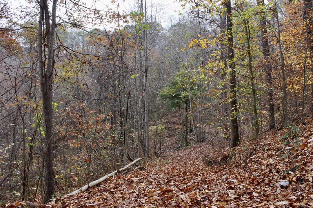 Autumn Ridge Tract 18 photo 1