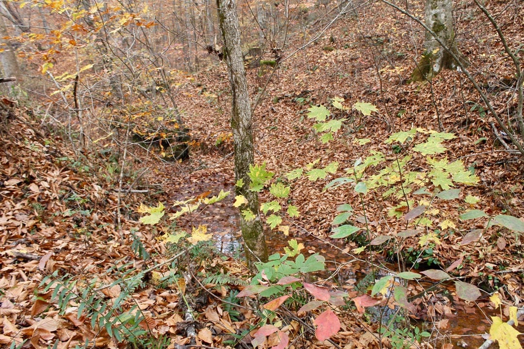 Autumn Ridge Tract 18 photo 7
