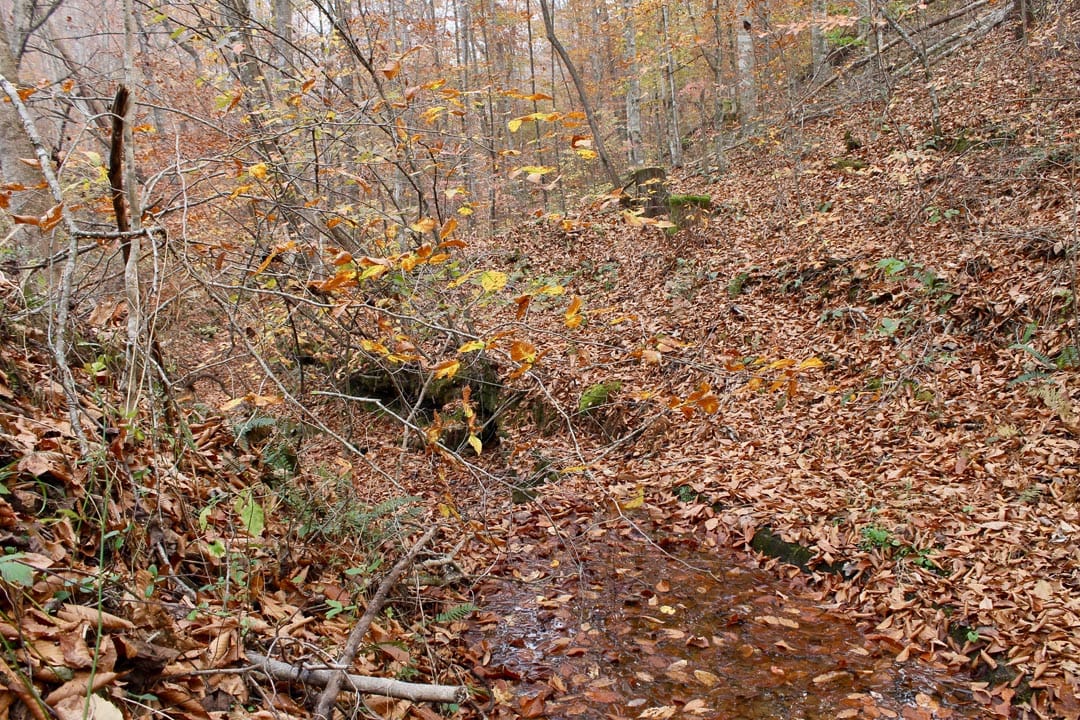 Autumn Ridge Tract 18 photo 2