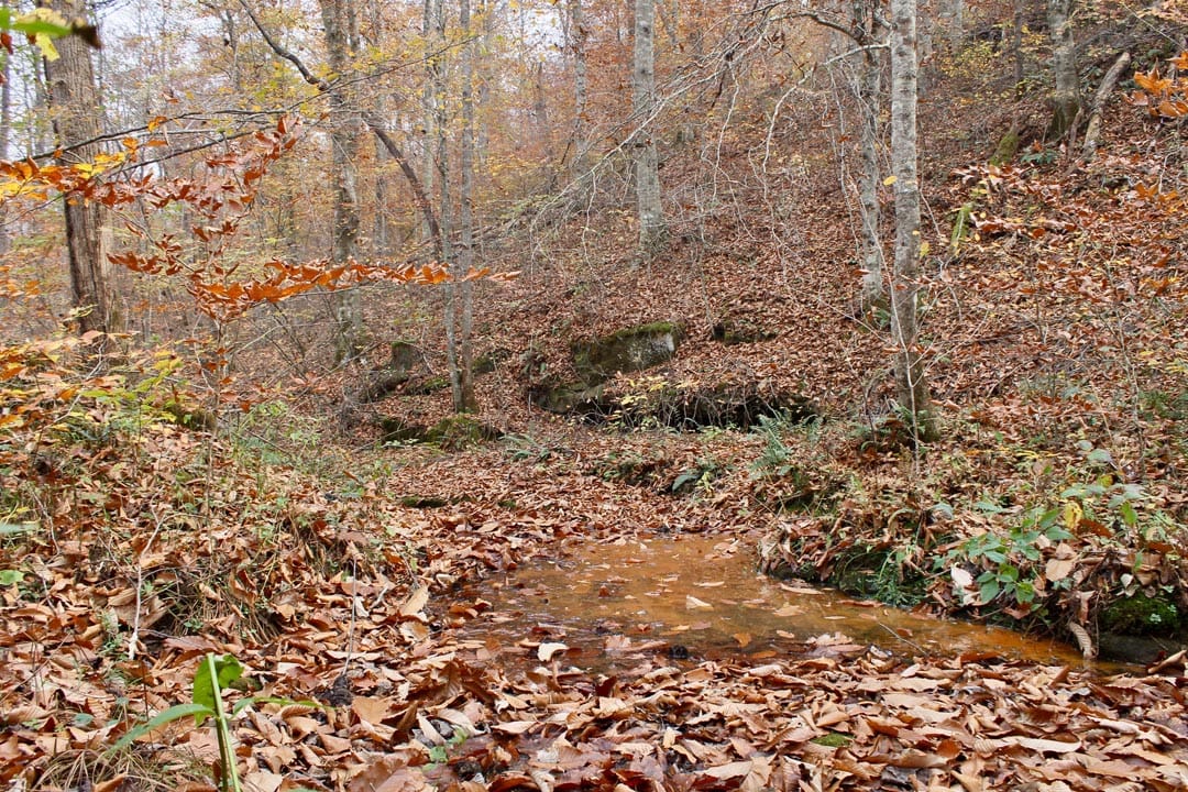 Autumn Ridge Tract 18 photo 3