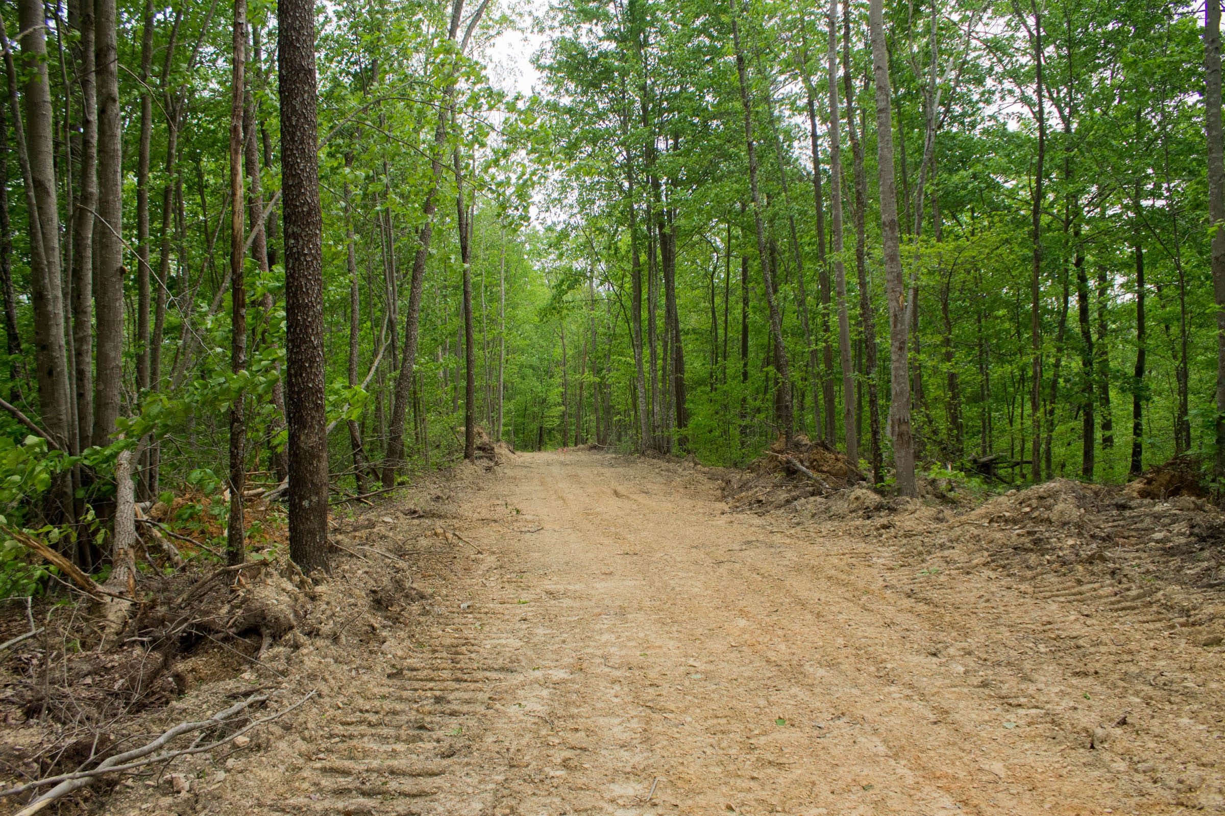 Trails End Tract 6 photo 4