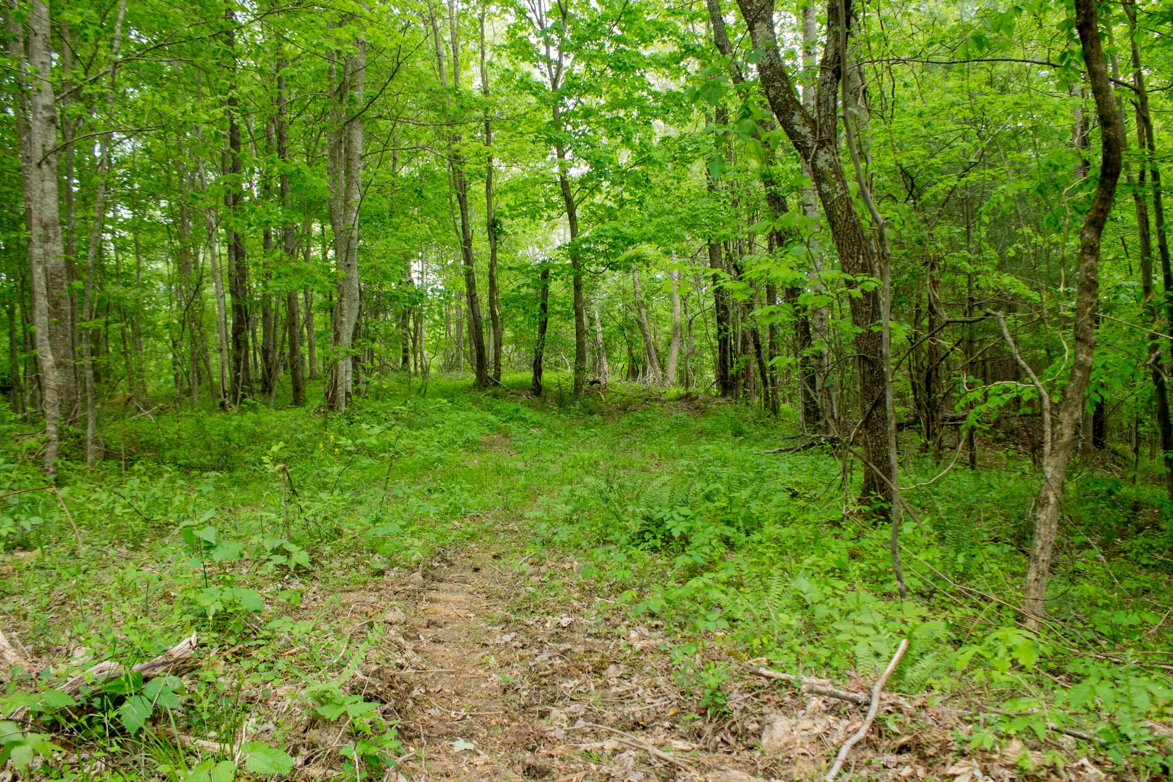 Trails End Tract 6 photo 8