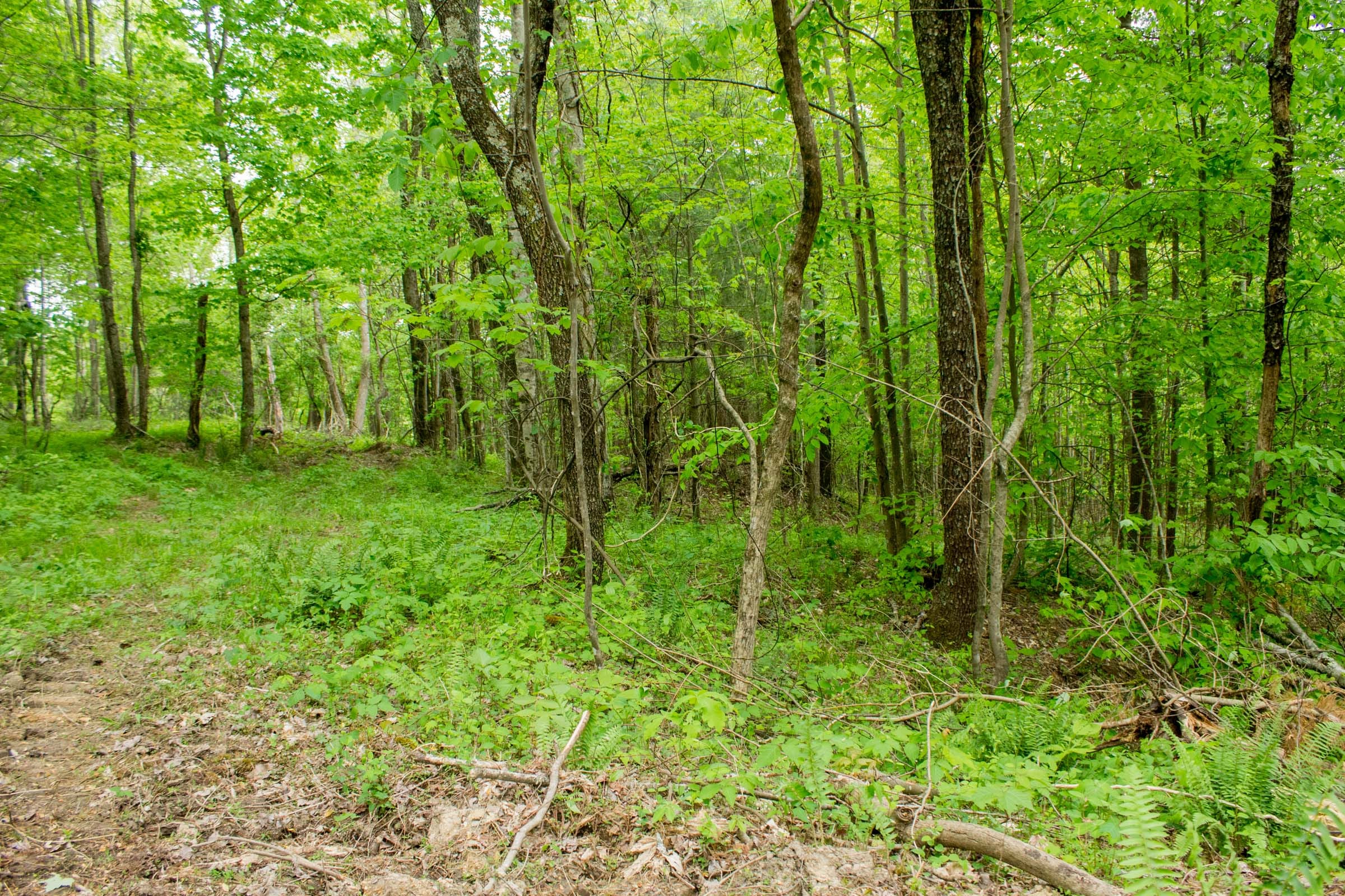 Trails End Tract 6 photo 9