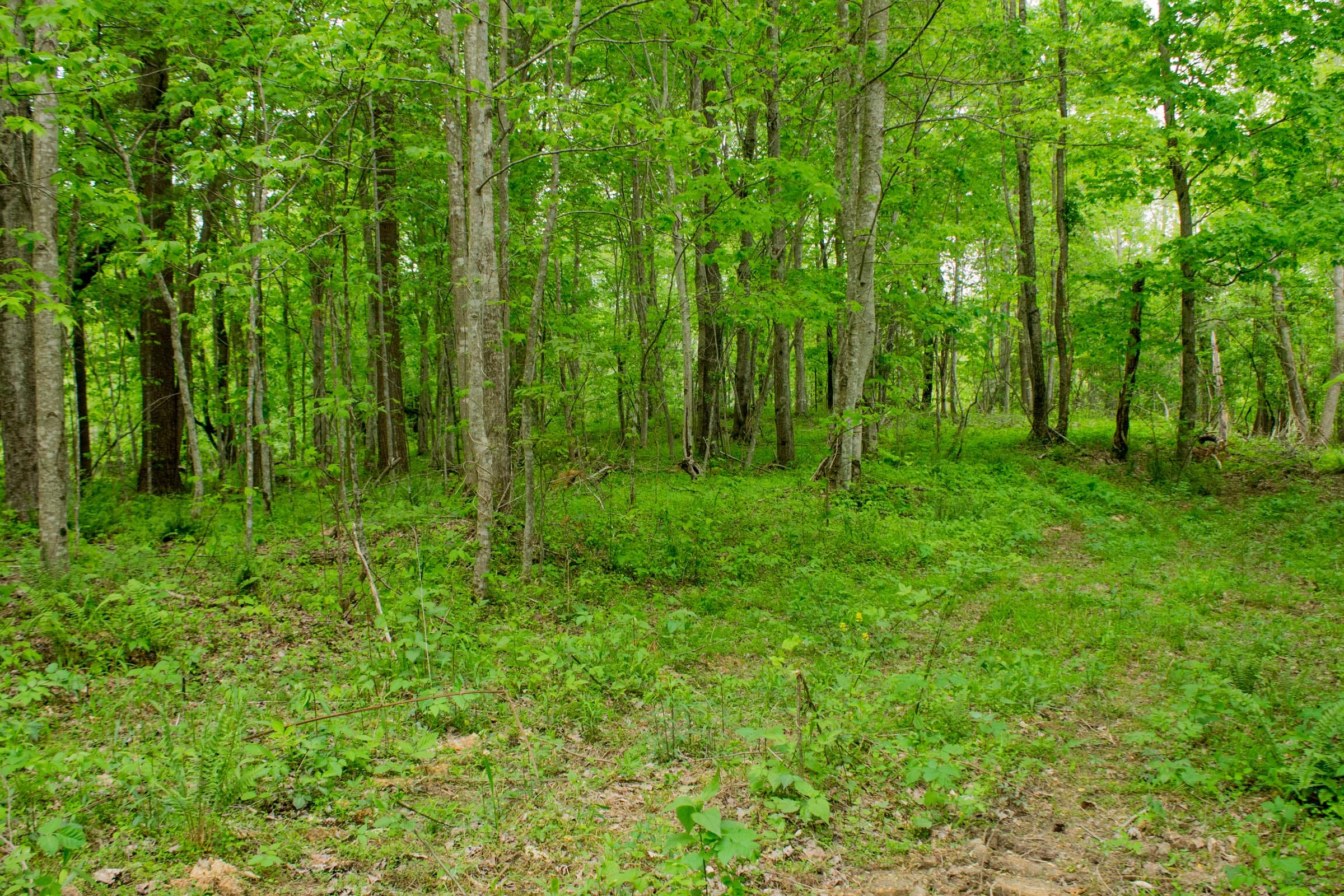 Trails End Tract 6 photo 1