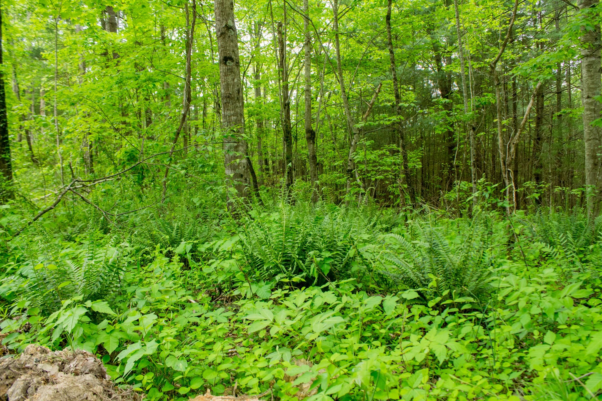 Trails End Tract 6 photo 11
