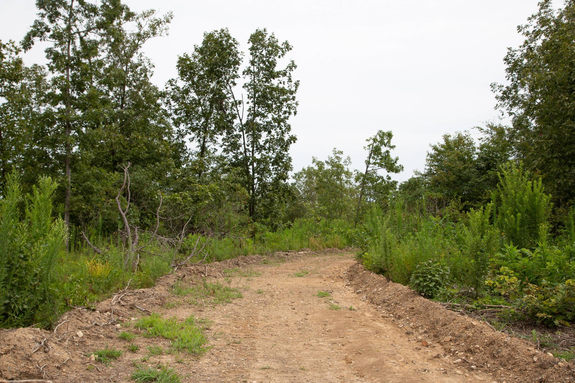 Borgmann’s Hollow Phase II Tract 47 photo 1