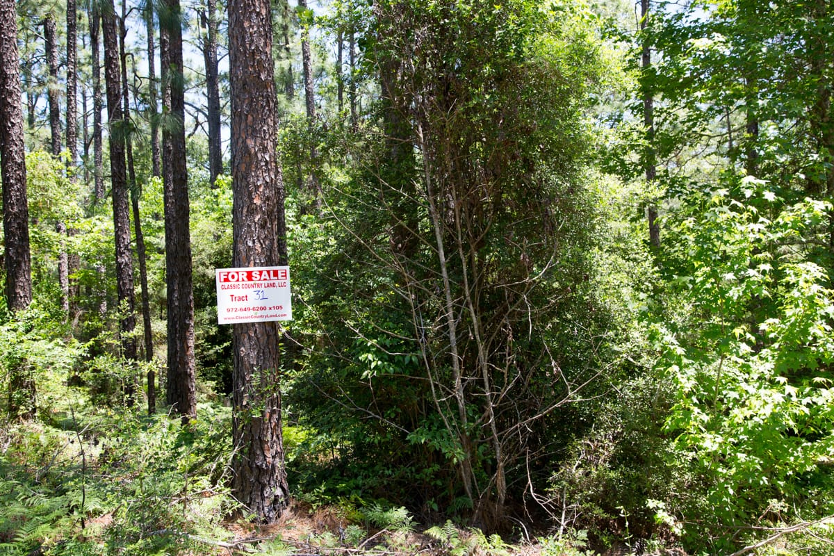 Rayburn Country Tract 31 photo 1
