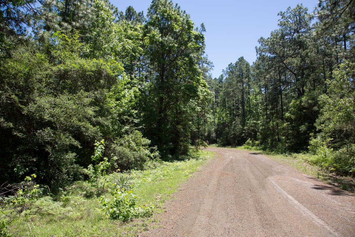 Rayburn Country Tract 31 photo 2